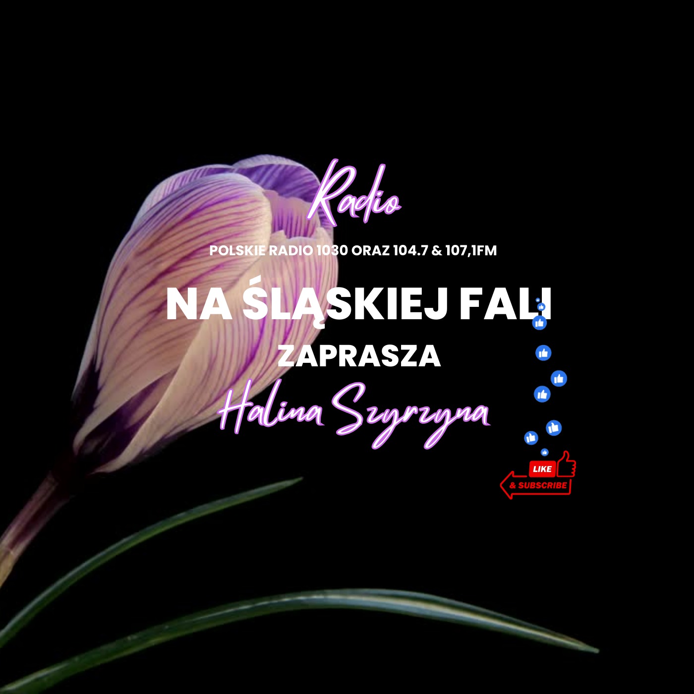 Radio Na Śląskiej Fali Chicago