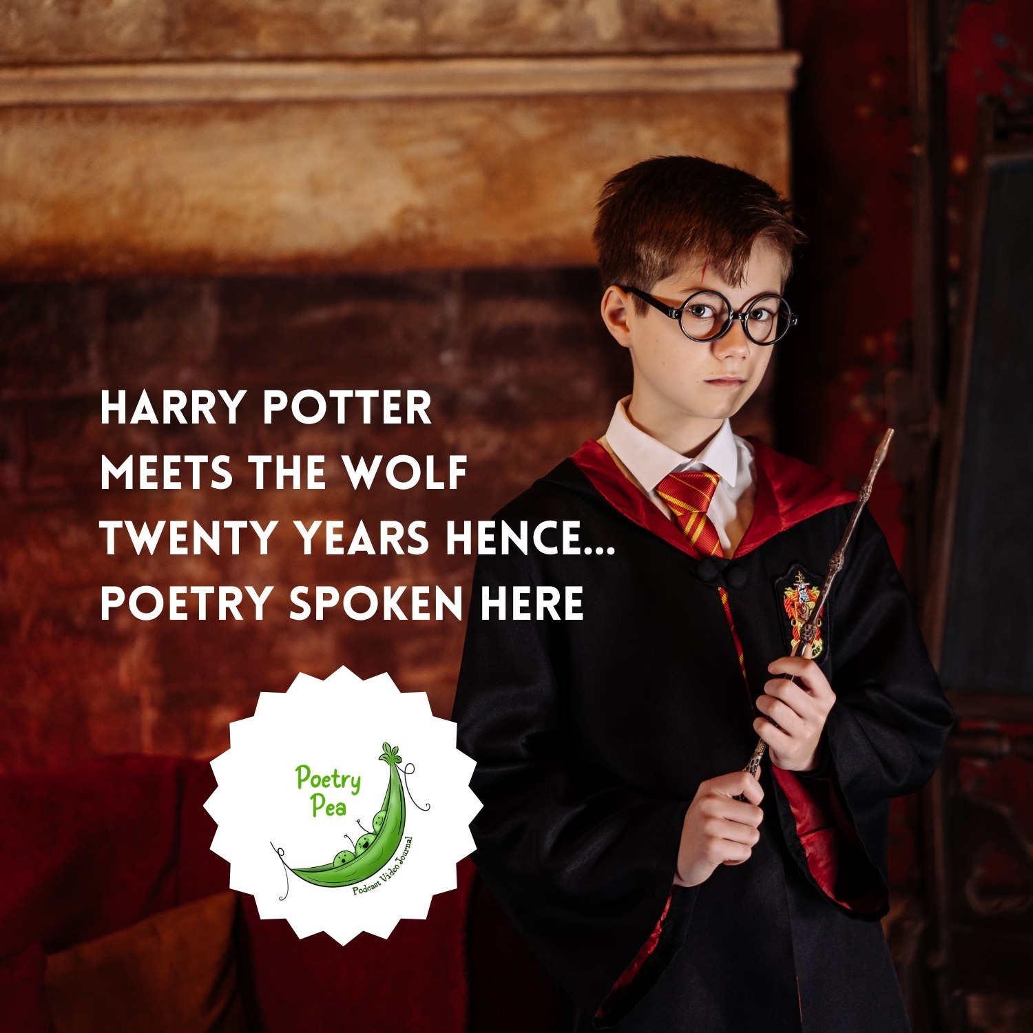 S7E9 Harry Potter meets the wolf twenty years hence - poetry spoken here
