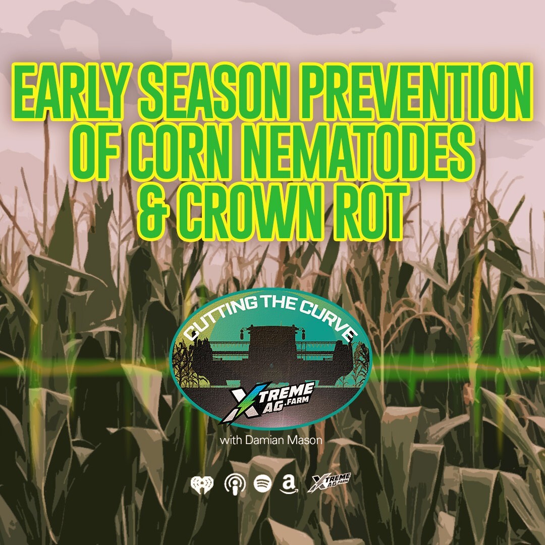Early Season Prevention of Corn Nematodes & Crown Rot episode artwork