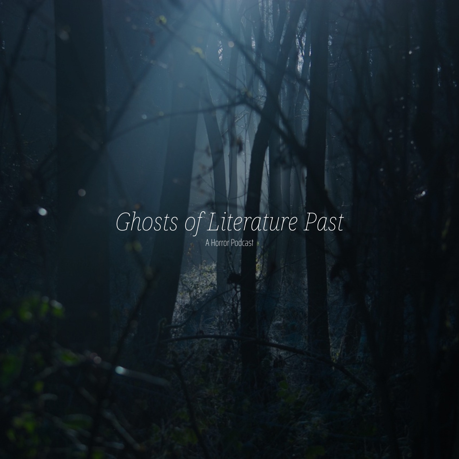 Audio Player Image