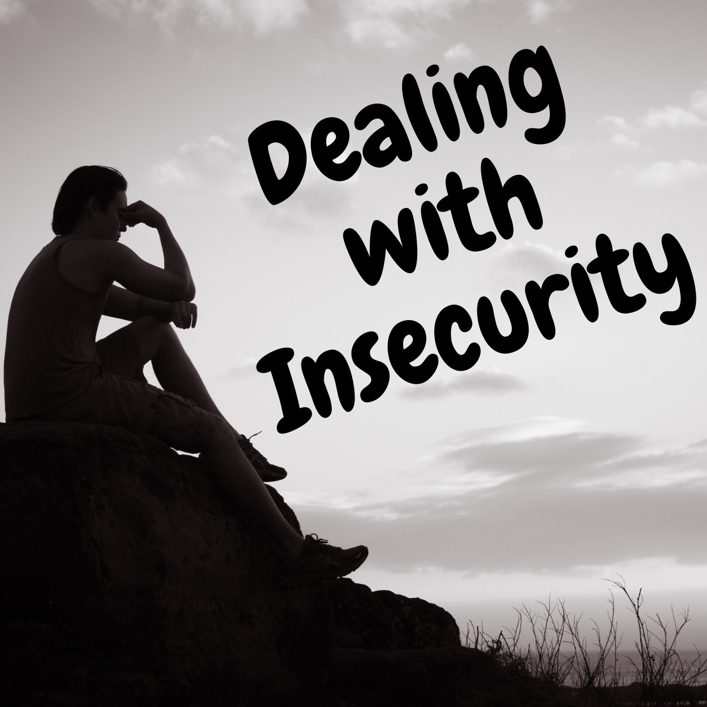 Dealing with Insecurity episode artwork