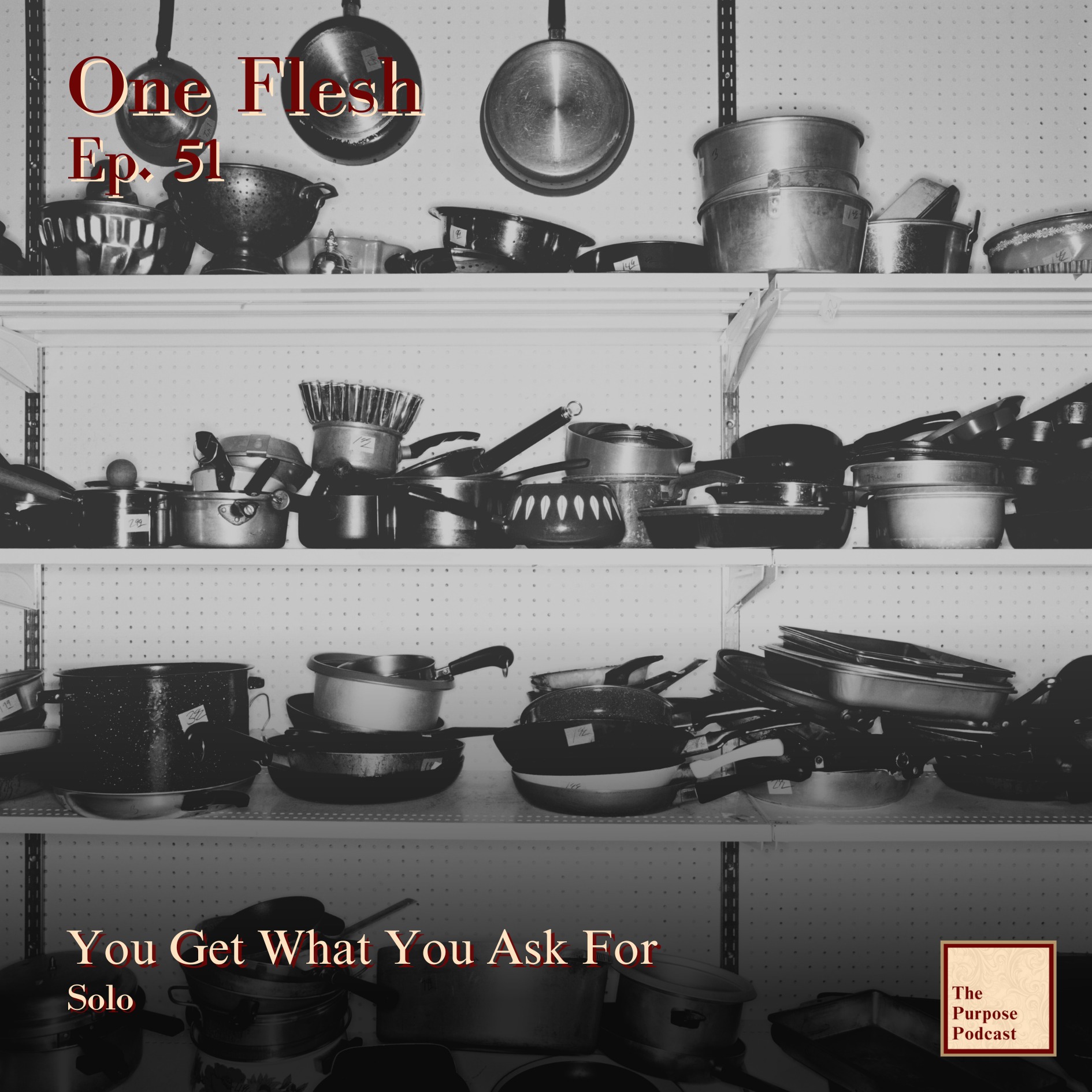 One Flesh Ep. 51 - You Get What You Ask For | Solo episode artwork