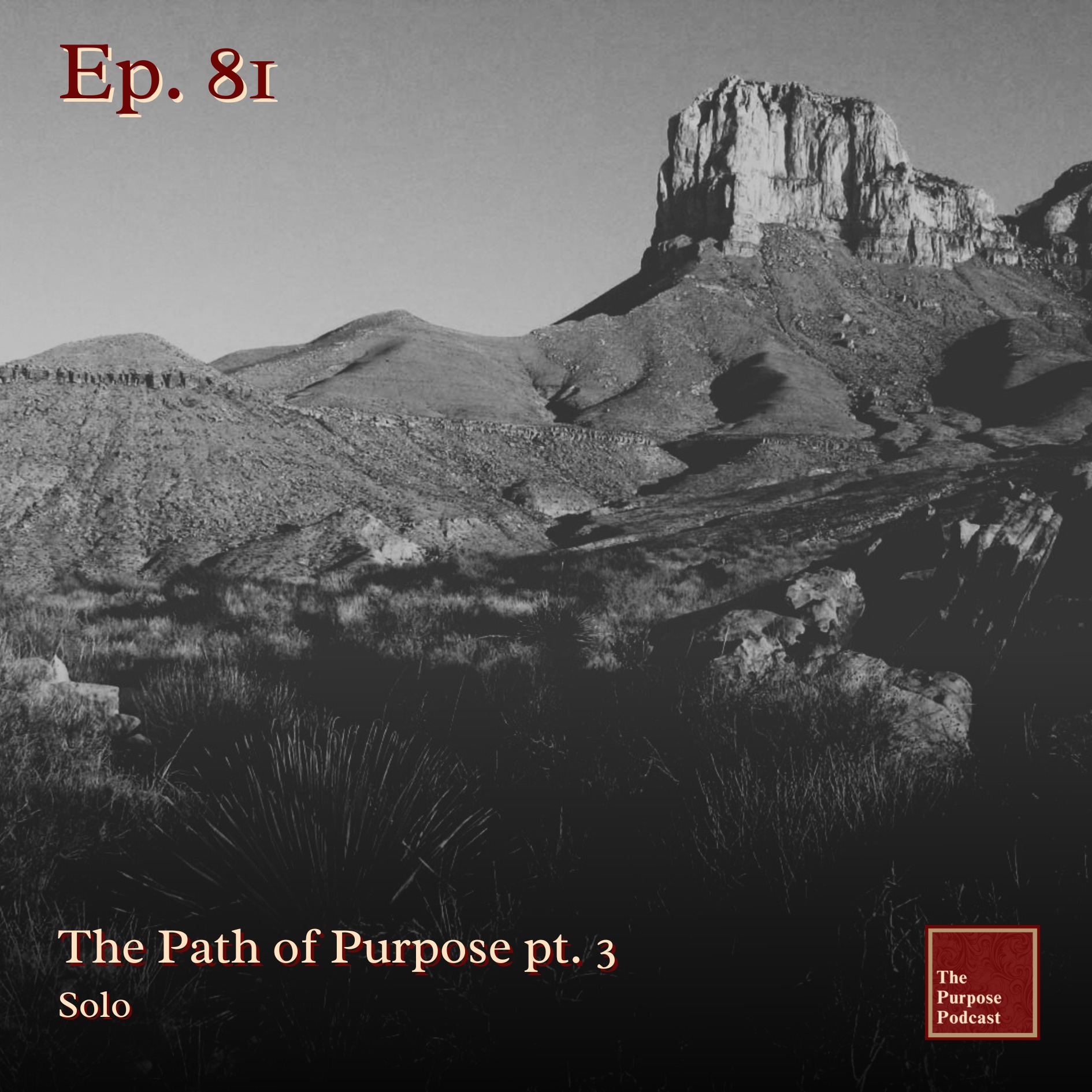 Ep. 81- The Path of Purpose pt. 3 | Solo episode artwork