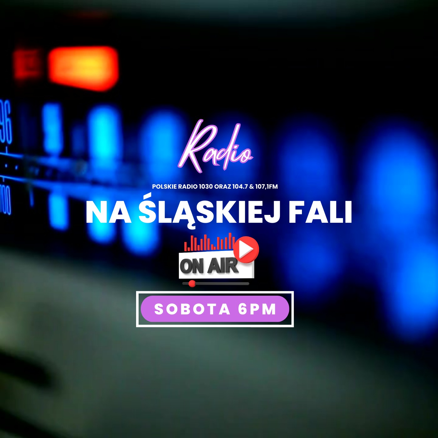 Radio Na Śląskiej Fali Chicago