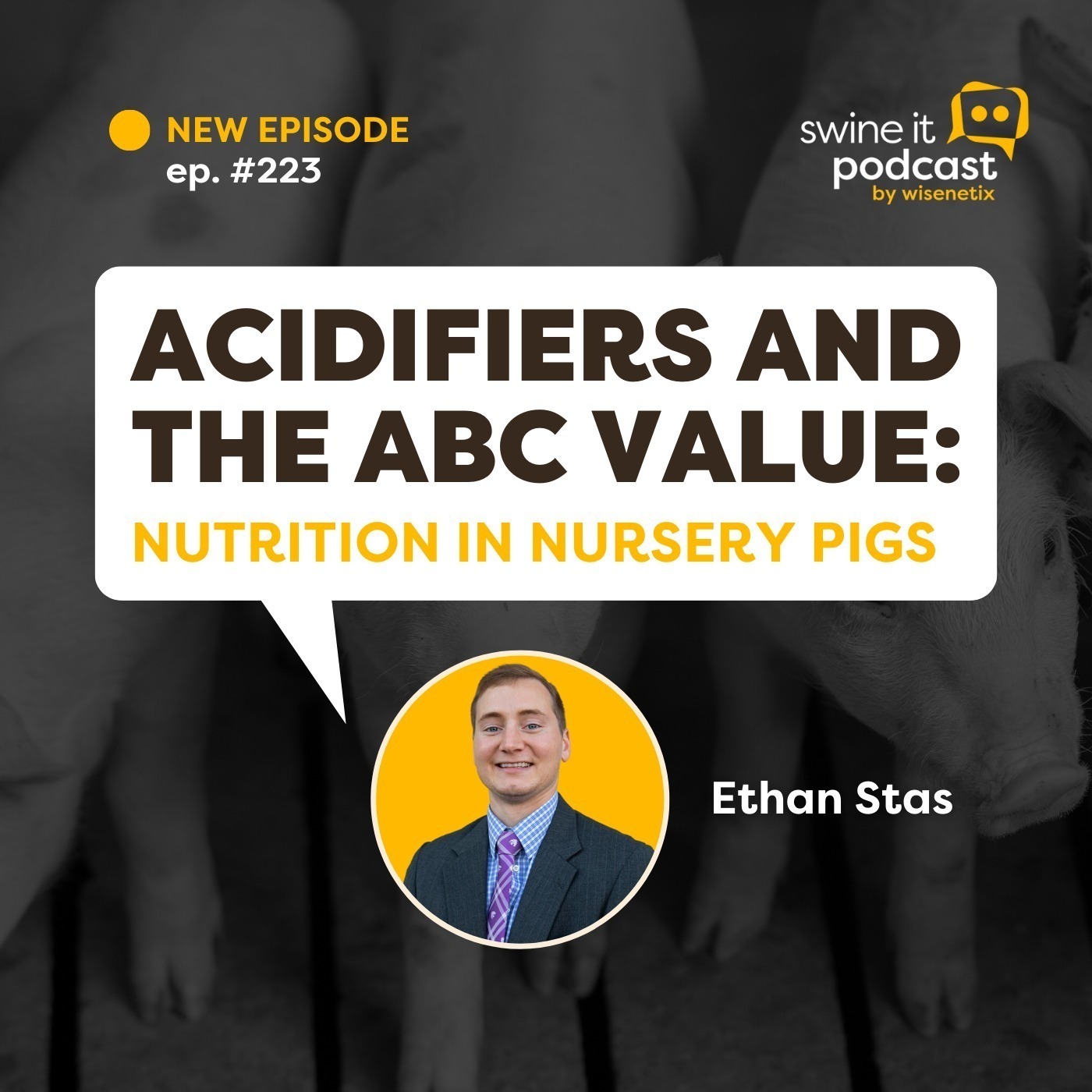 Ethan Stas: Acidifiers in Swine Nutrition | Ep. 223