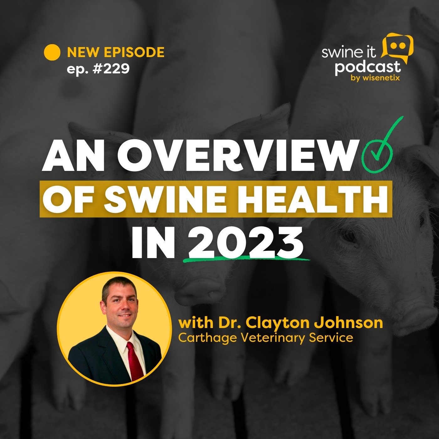 Dr. Clayton Johnson: 2023 Swine Health Overview | Ep. 229