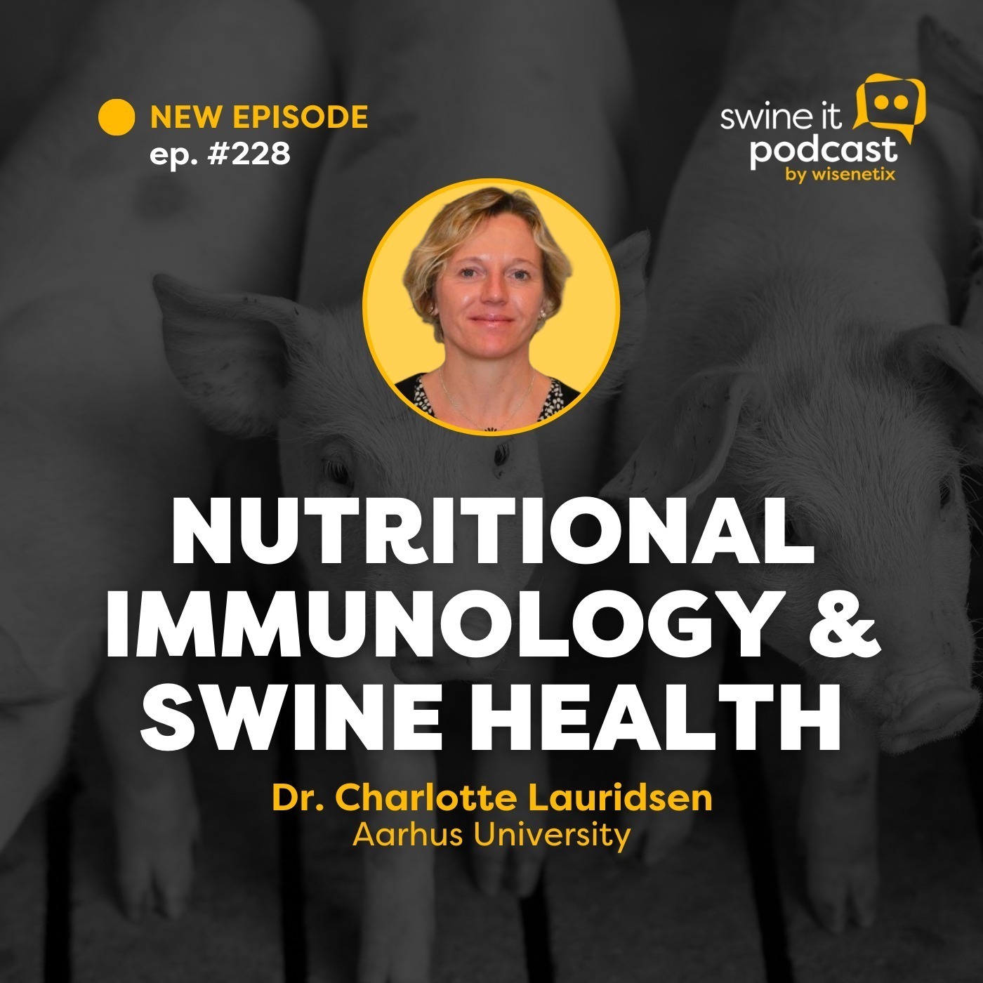 Dr. Charlotte Lauridsen: Nutritional Immunology and Swine Health | Ep. 228