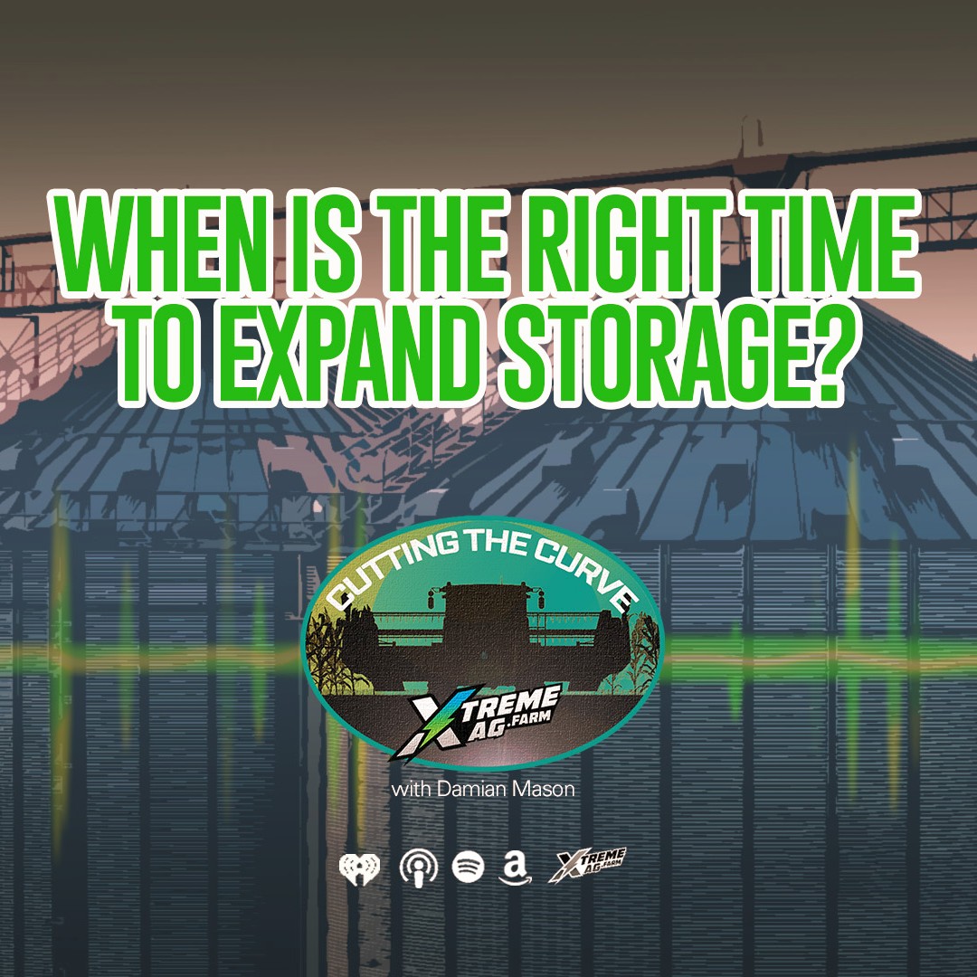 To Expand or Not: Grain Storage Decisions in Tough Times episode artwork