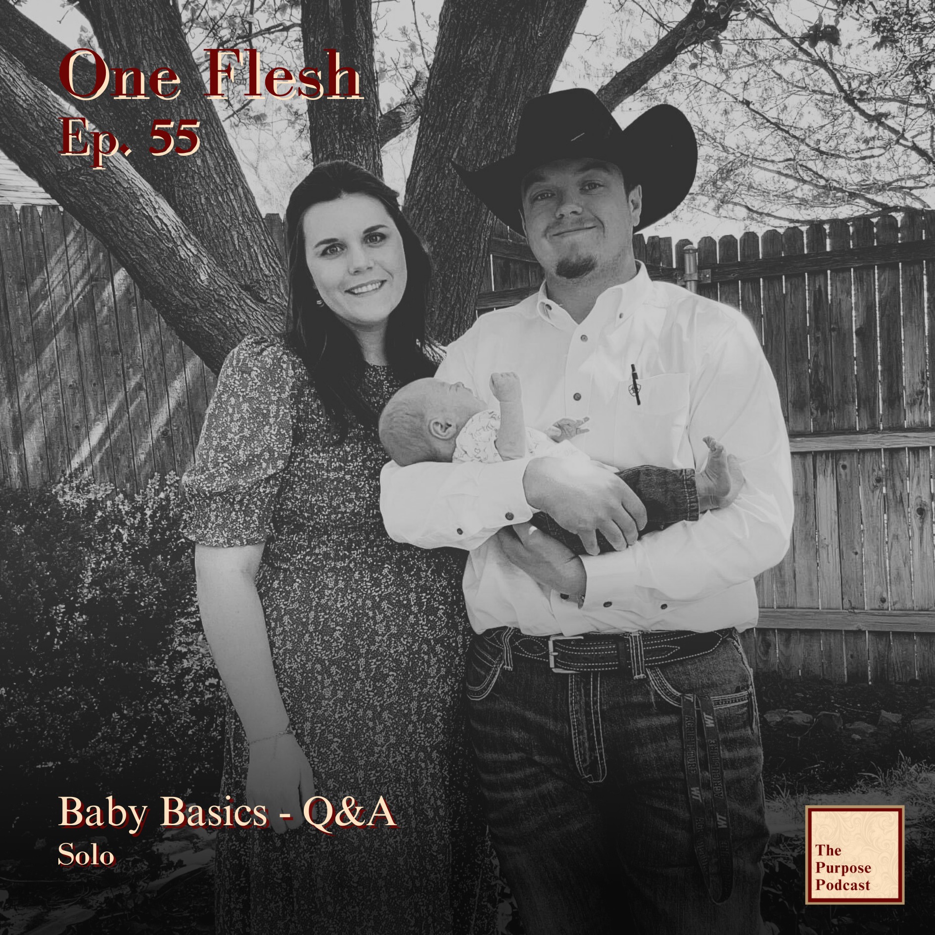 One Flesh Ep. 55 - Baby Basics - Q&A | Solo episode artwork
