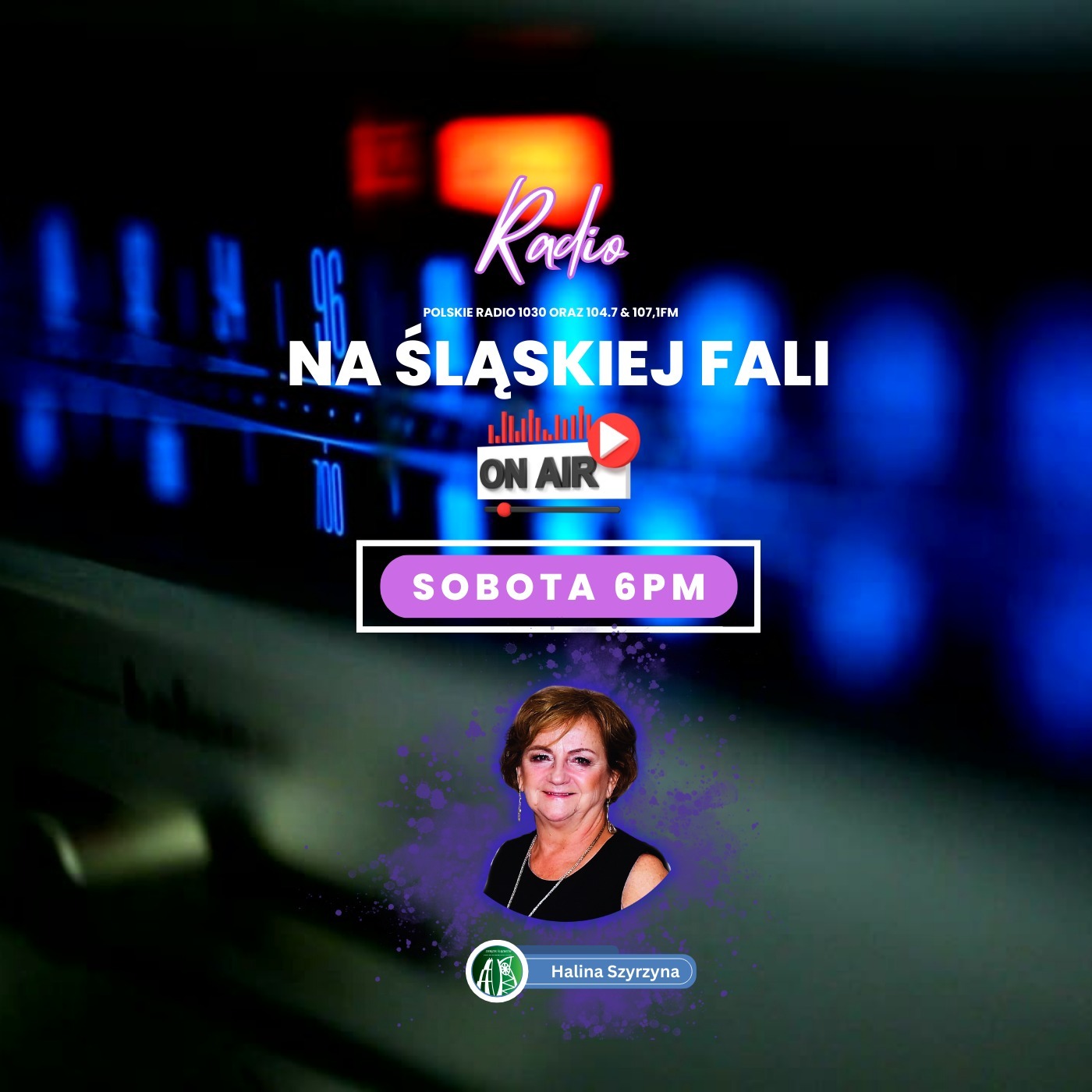 Radio Na Śląskiej Fali Chicago