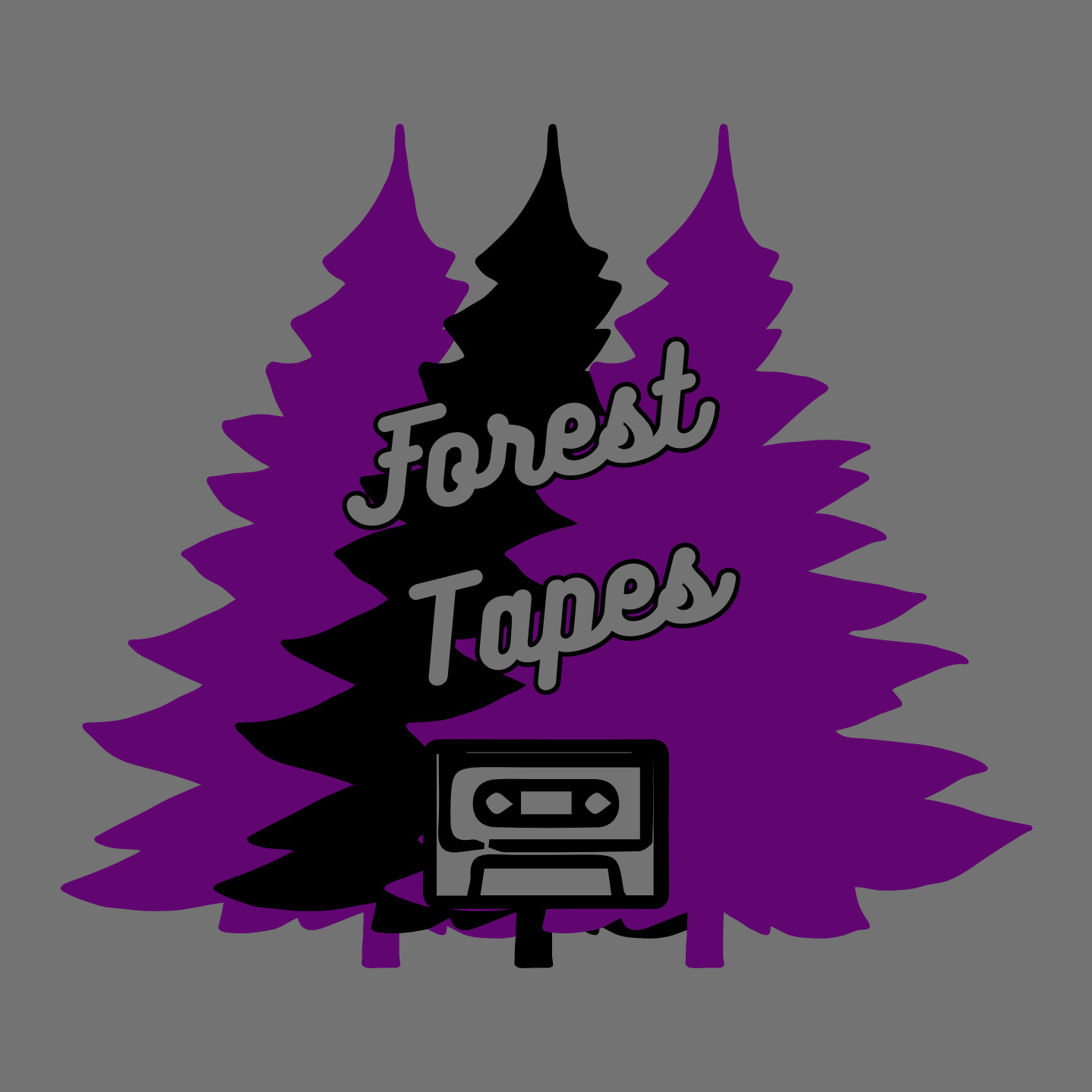 Audio Player Image
