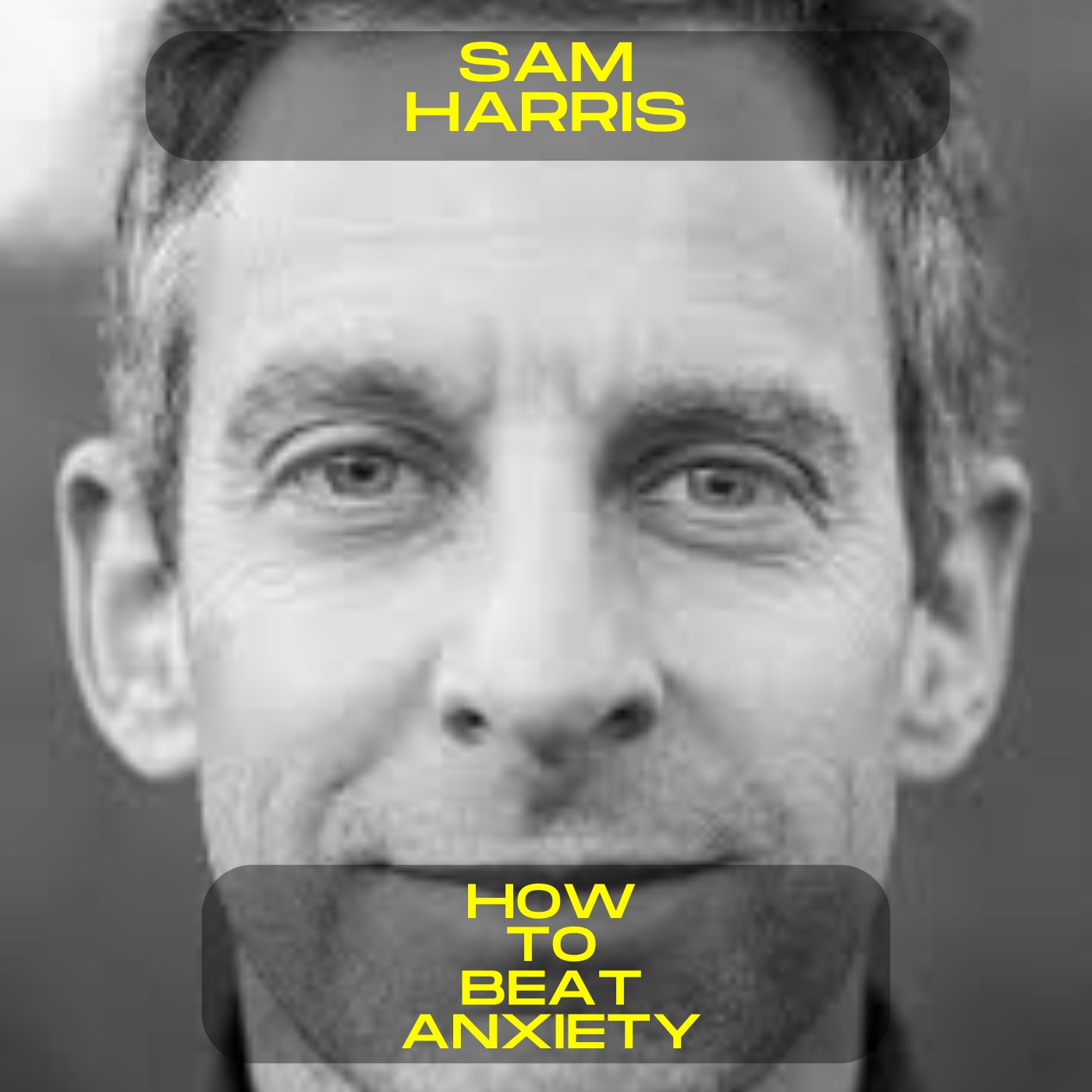 Sam Harris - How to control anxiety motivational speech