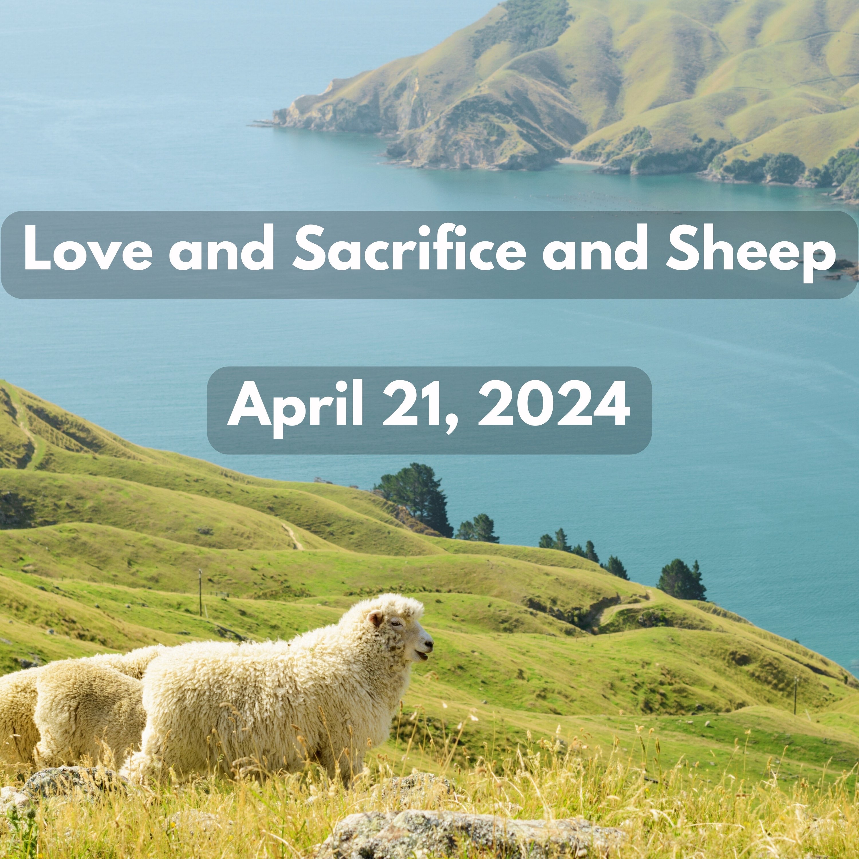 Sermons | Living Hope and Christ the King ELCA Lutheran Churches