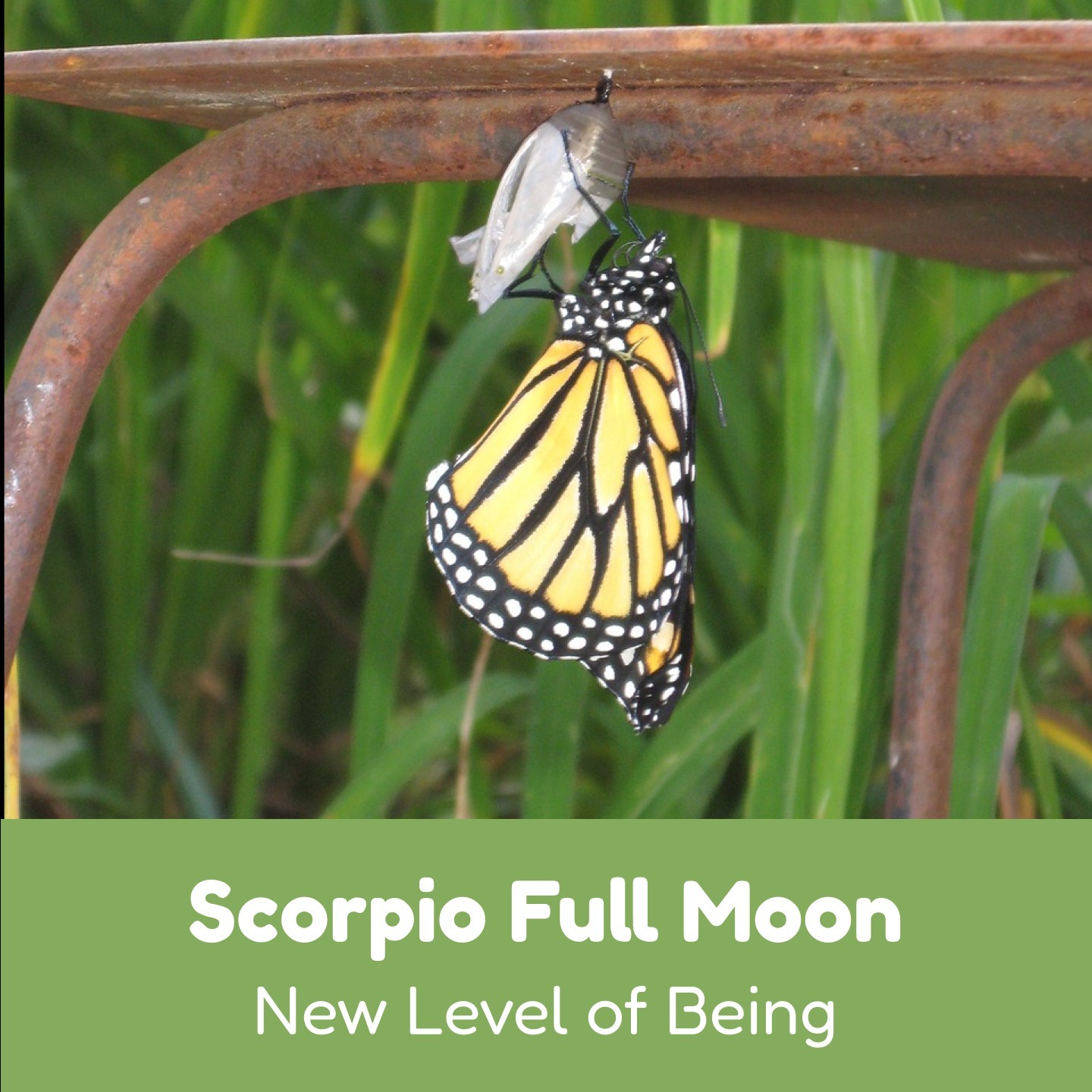 Astrology Journal