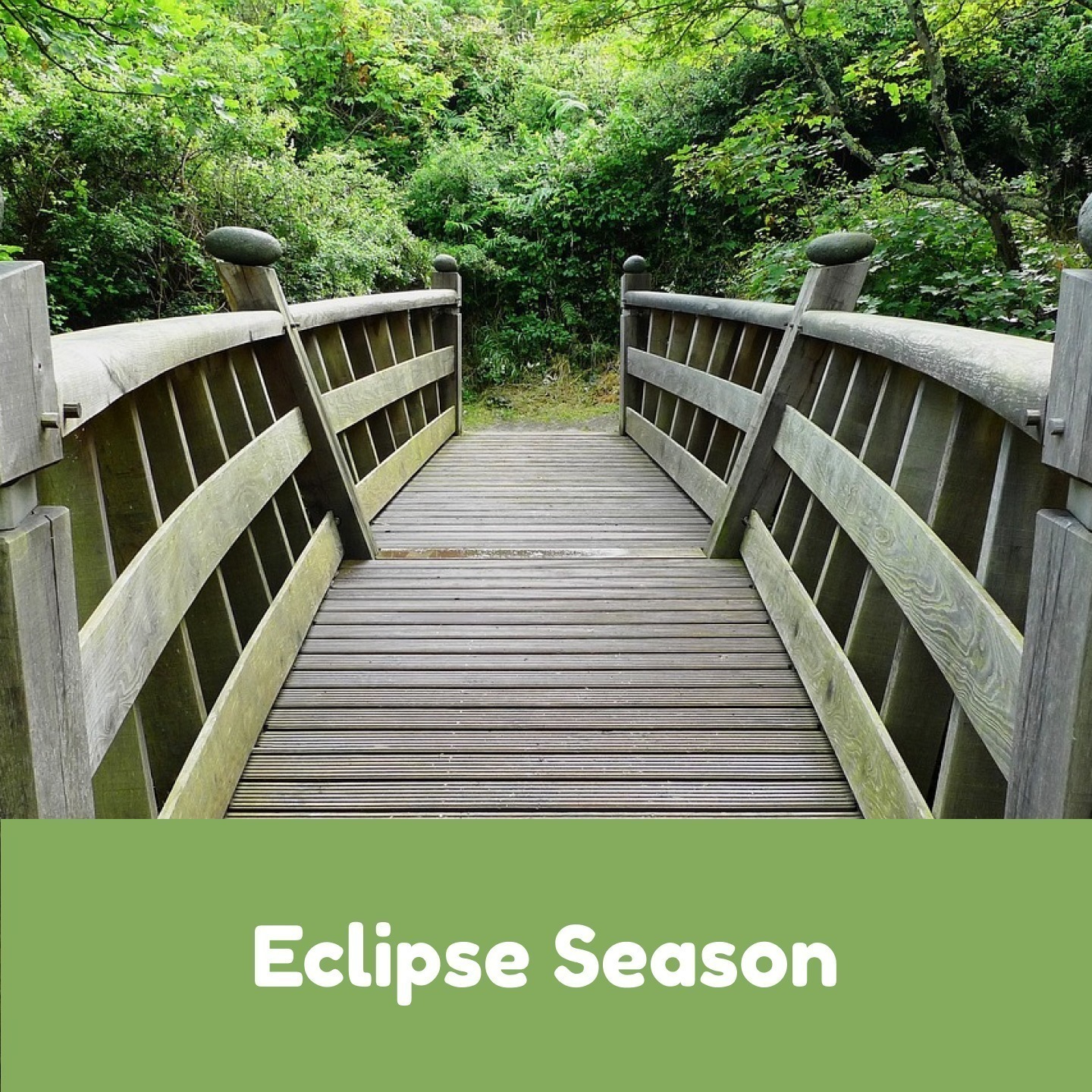 Astrology Journal