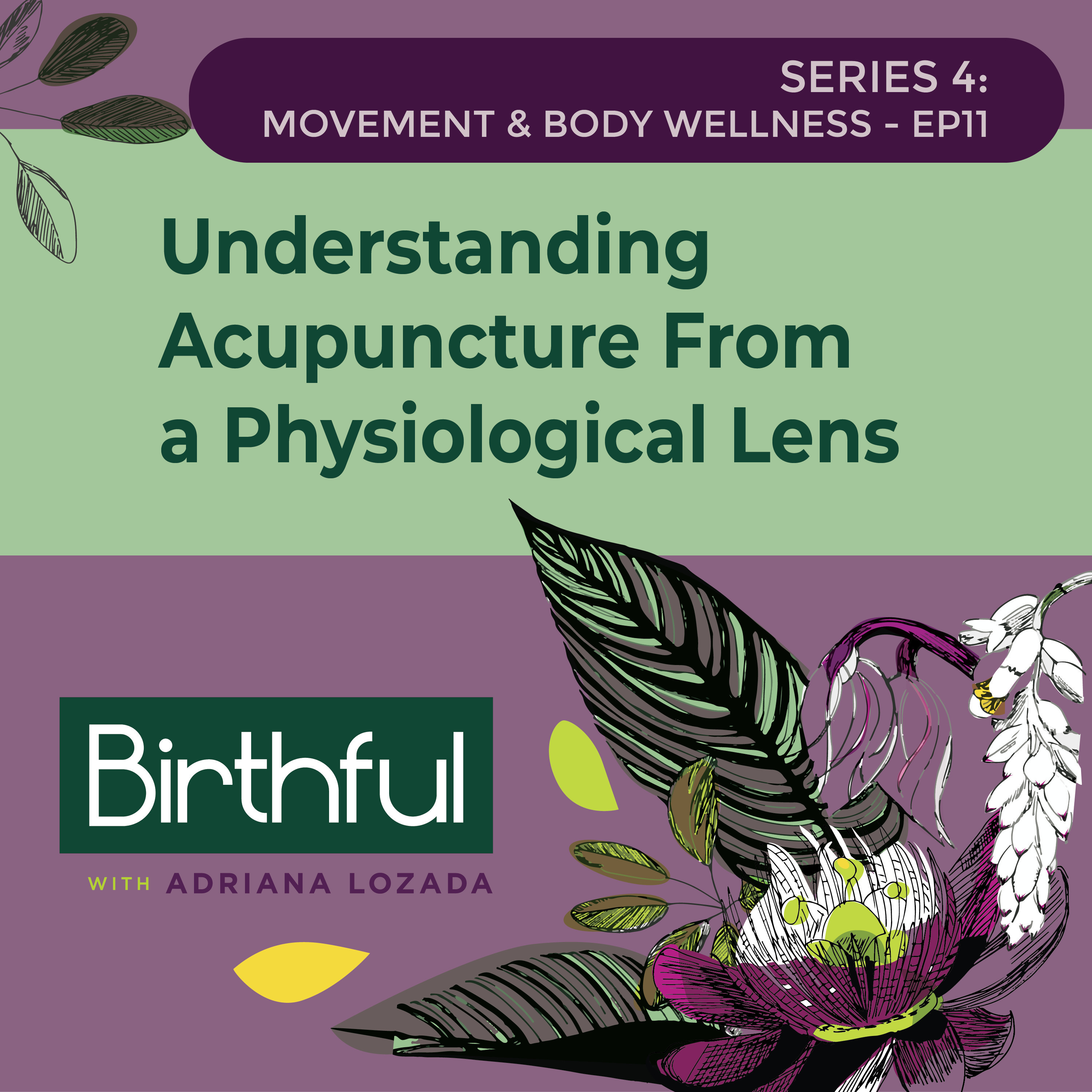 Understanding Acupuncture From a Physiological Lens (and Why You Shouldn’t Fear the Needles!)