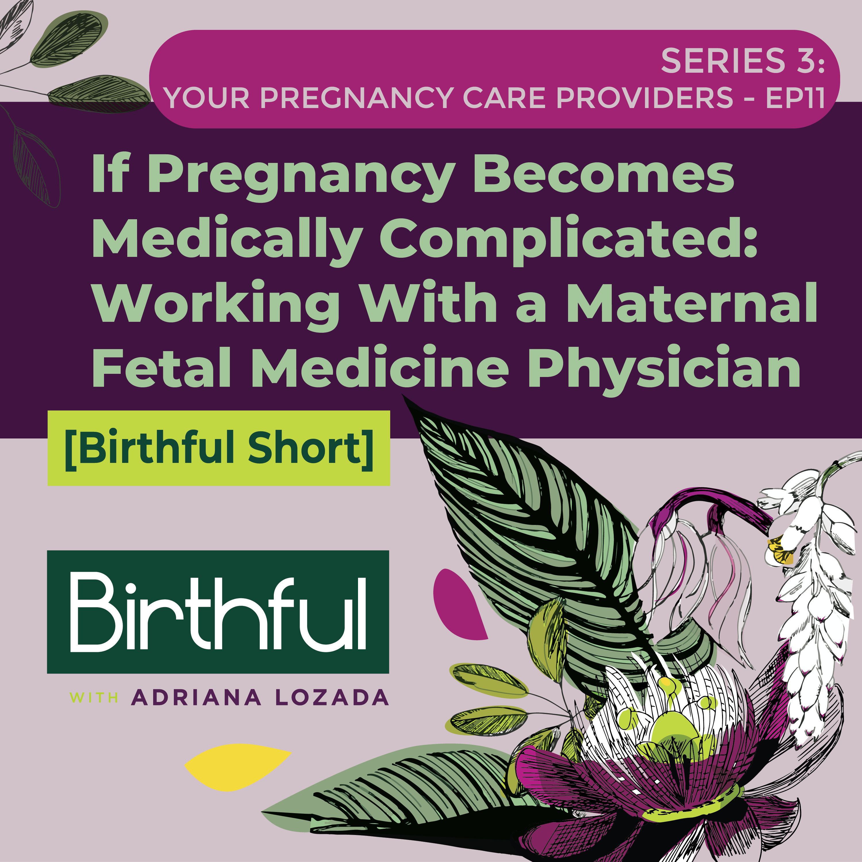 If Pregnancy Becomes Medically Complicated: Working With a Maternal Fetal Medicine Physician