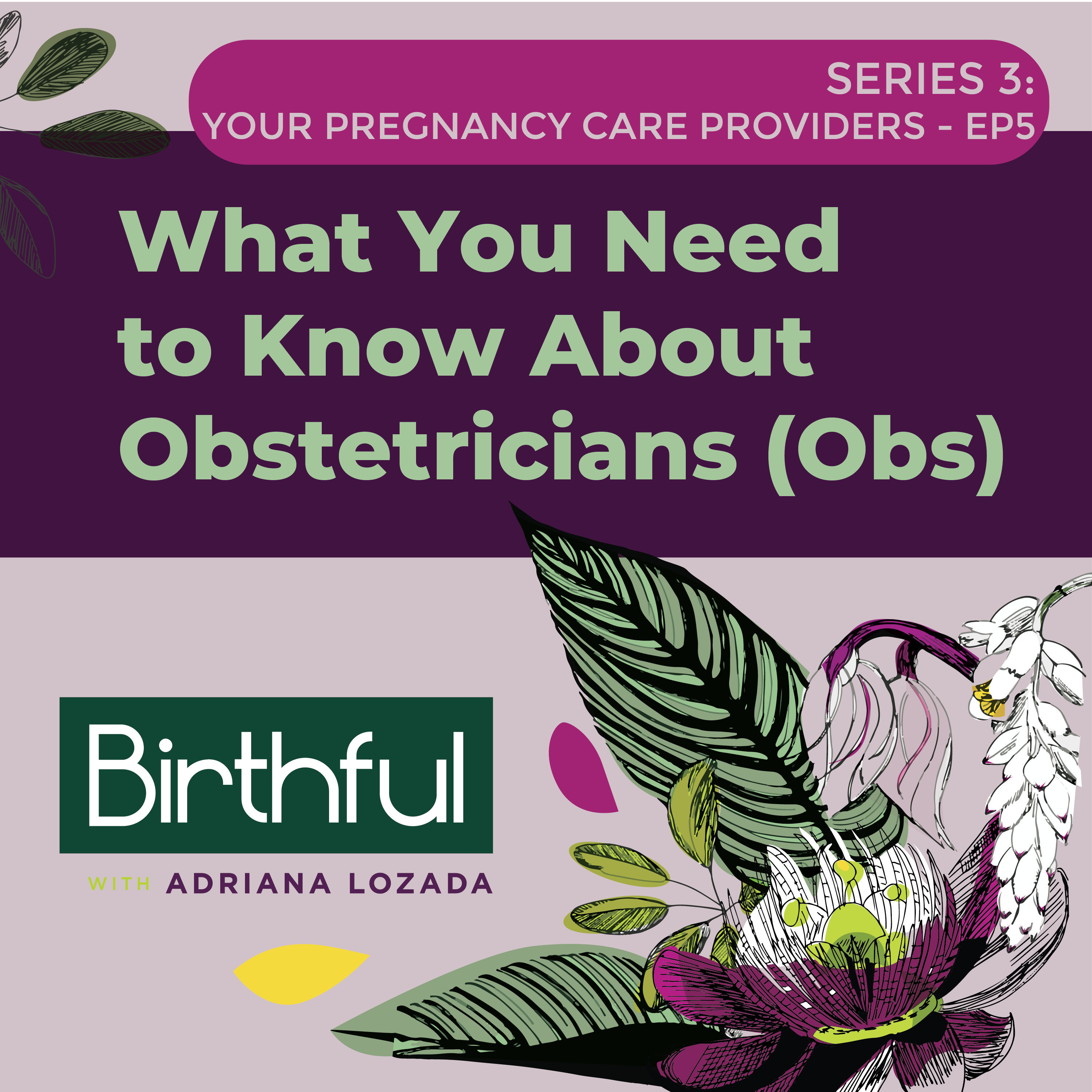 What You Need to Know About Obstetricians (Obs)