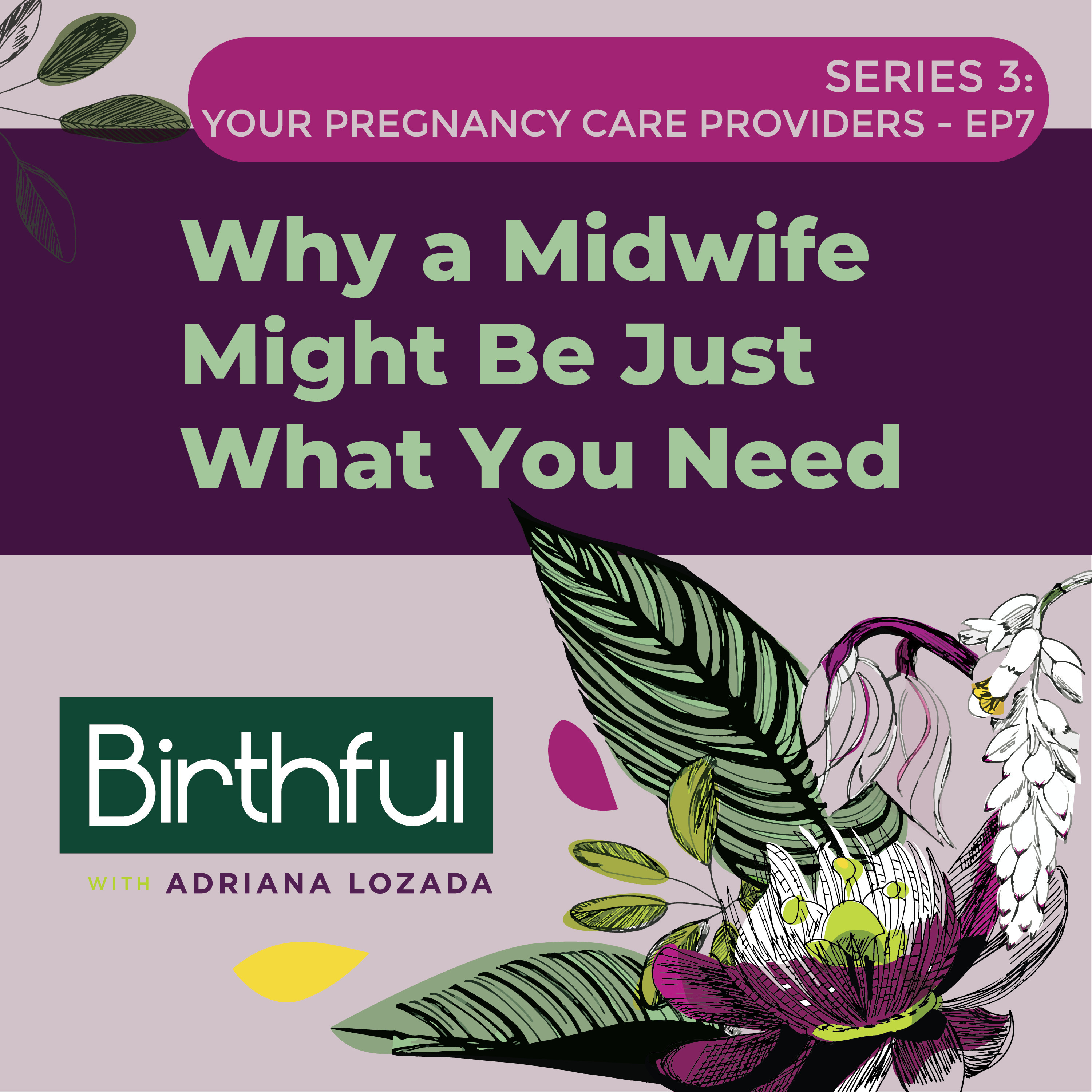 Why A Midwife Might Be Just What You Need