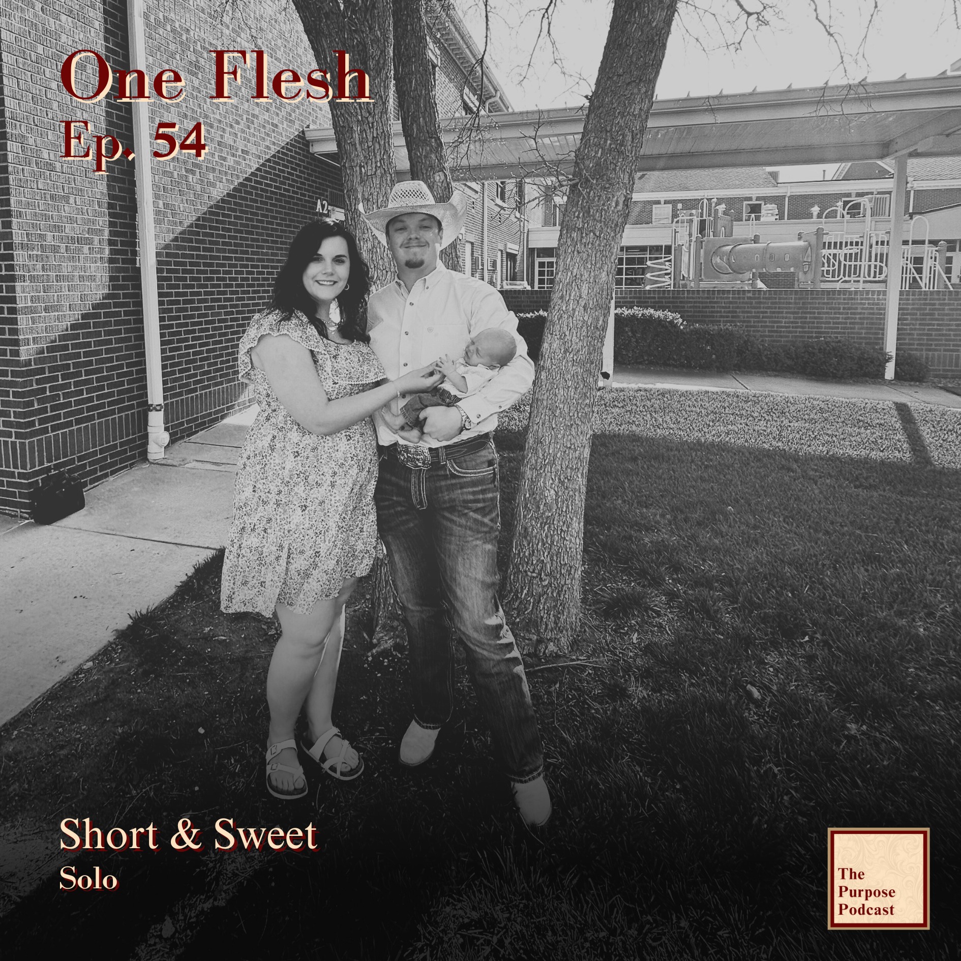 One Flesh Ep. 54 - Short & Sweet | Solo episode artwork