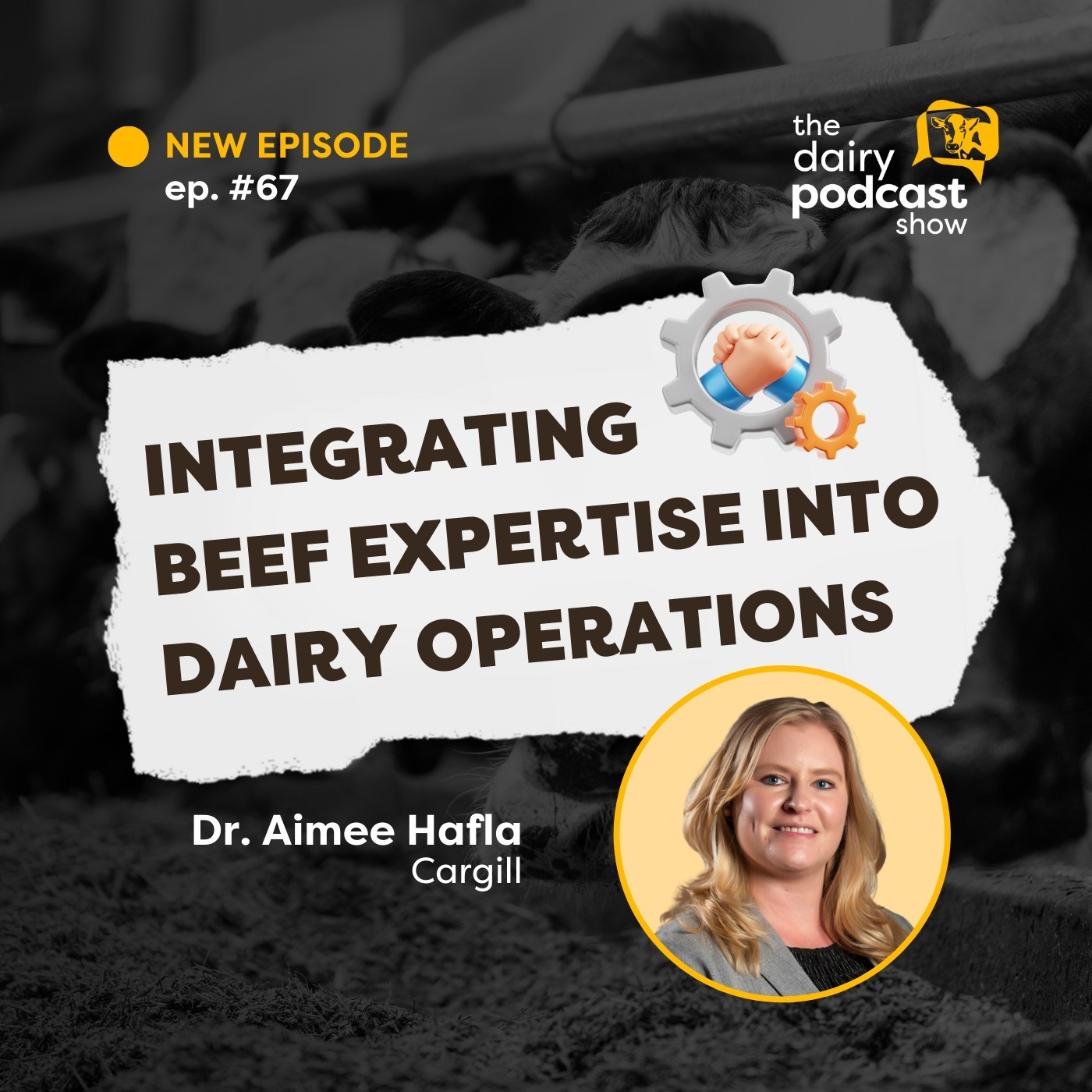 Dr. Aimee Hafla: Beef Expertise in Dairy | Ep. 67