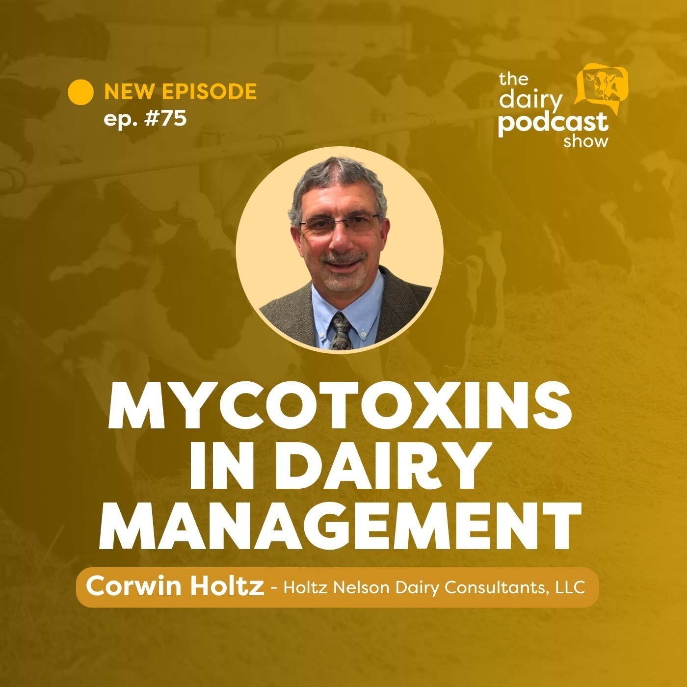 Corwin Holtz: Mycotoxins in Dairy Management | Ep. 75