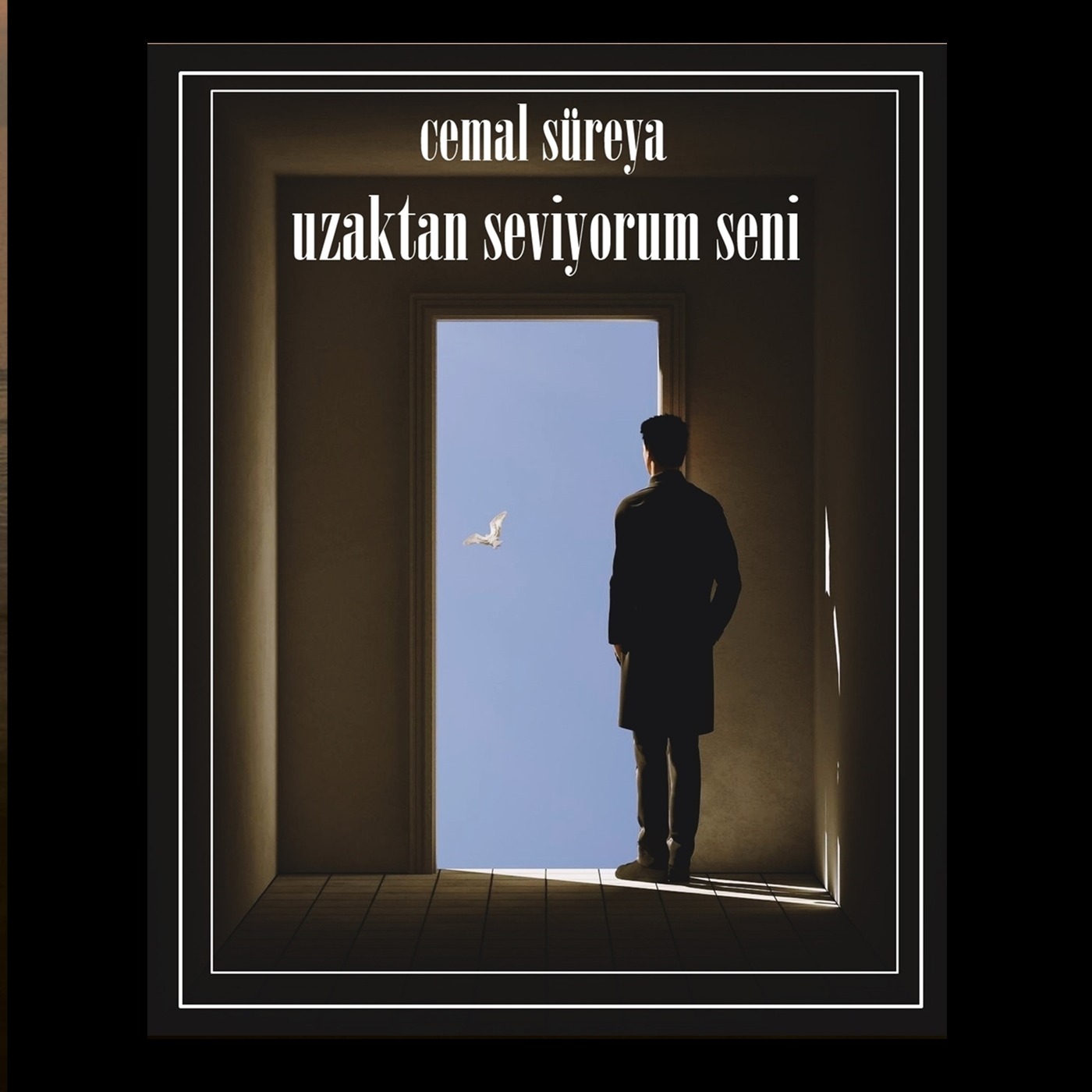 Cemal Süreya Uzaktan Seviyorum Seni