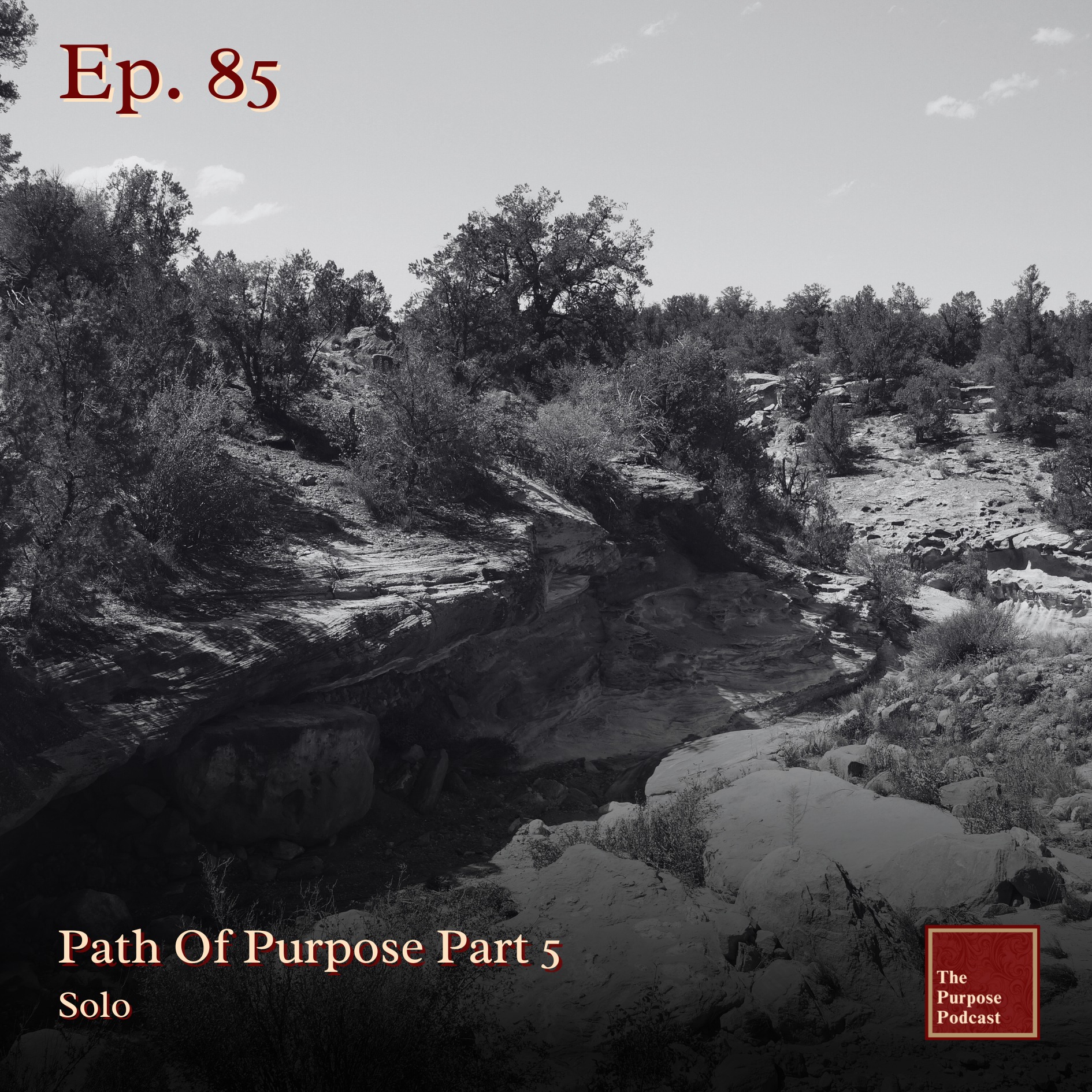 Ep. 85 -The Path Of Purpose Part 5 | Solo episode artwork