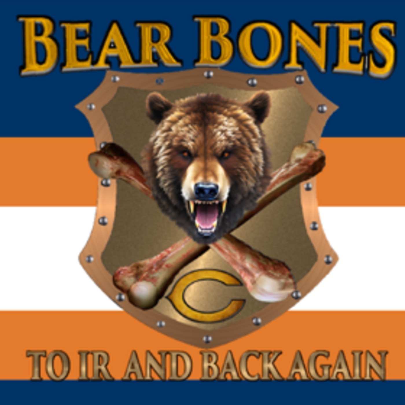 Bear Bones: To IR and Back Again: Bears 53 Man Roster Predictions