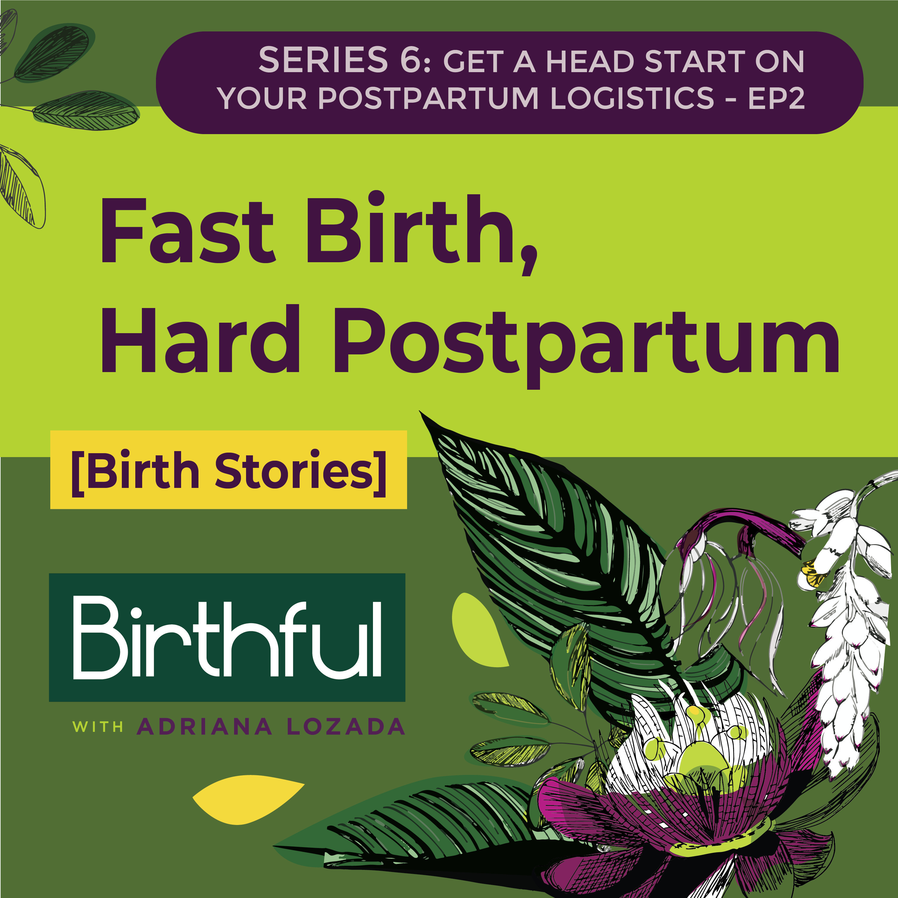 [Birth Stories] Fast Birth, Hard Postpartum