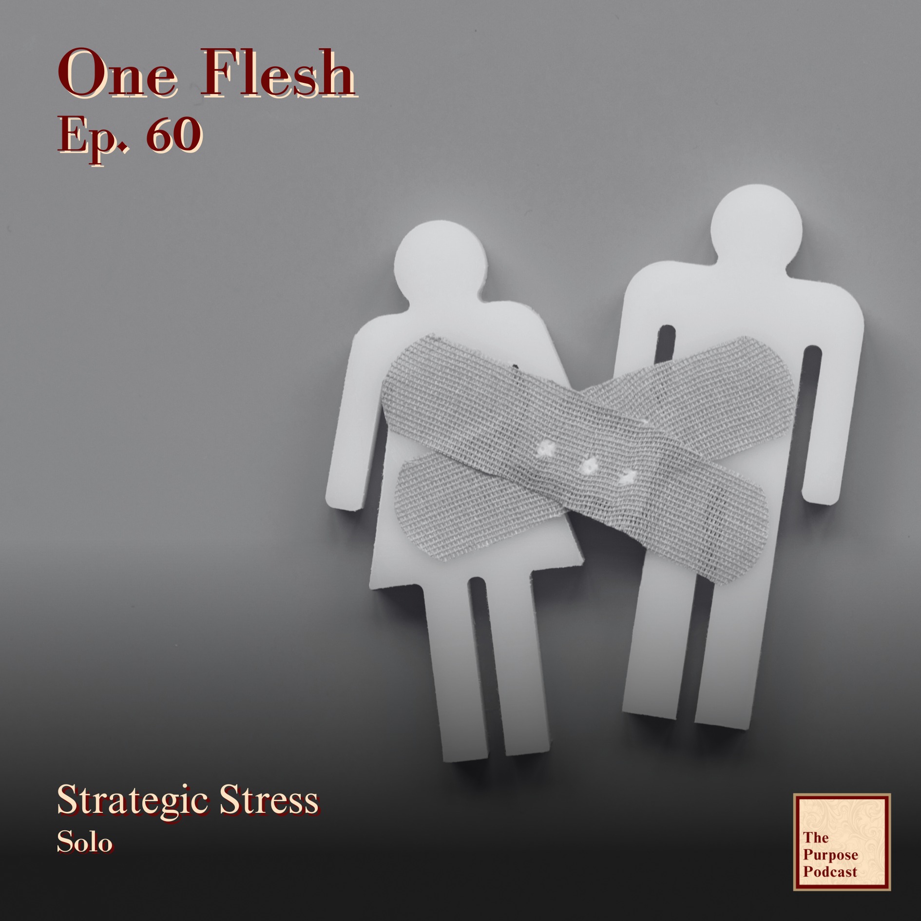 One Flesh Ep. 60 - Strategic Stress | Solo episode artwork