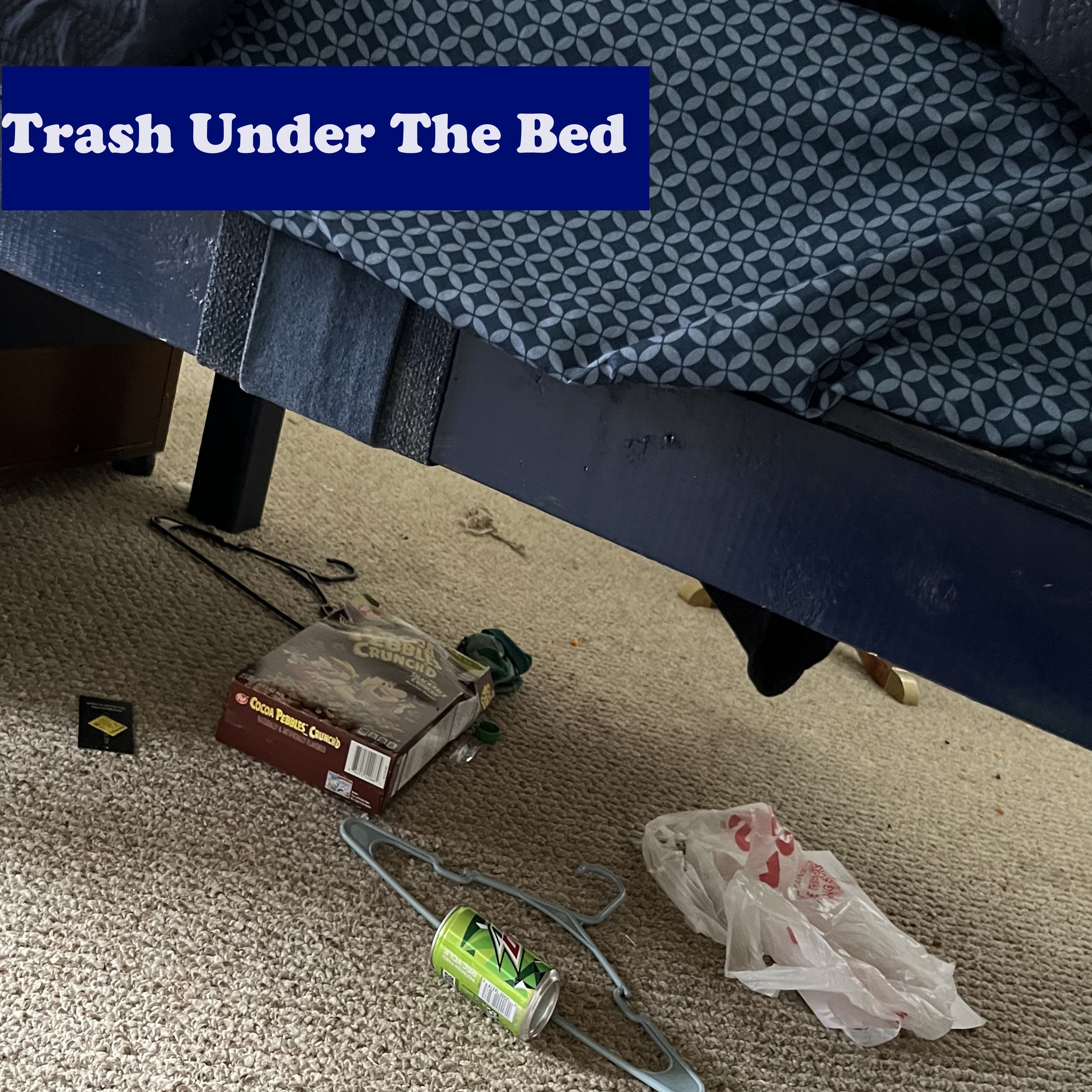 The Urban Foster Dad