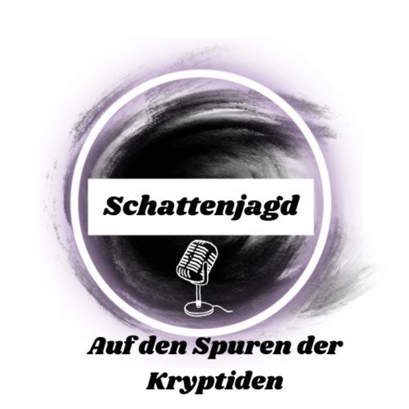 Audio Player Image