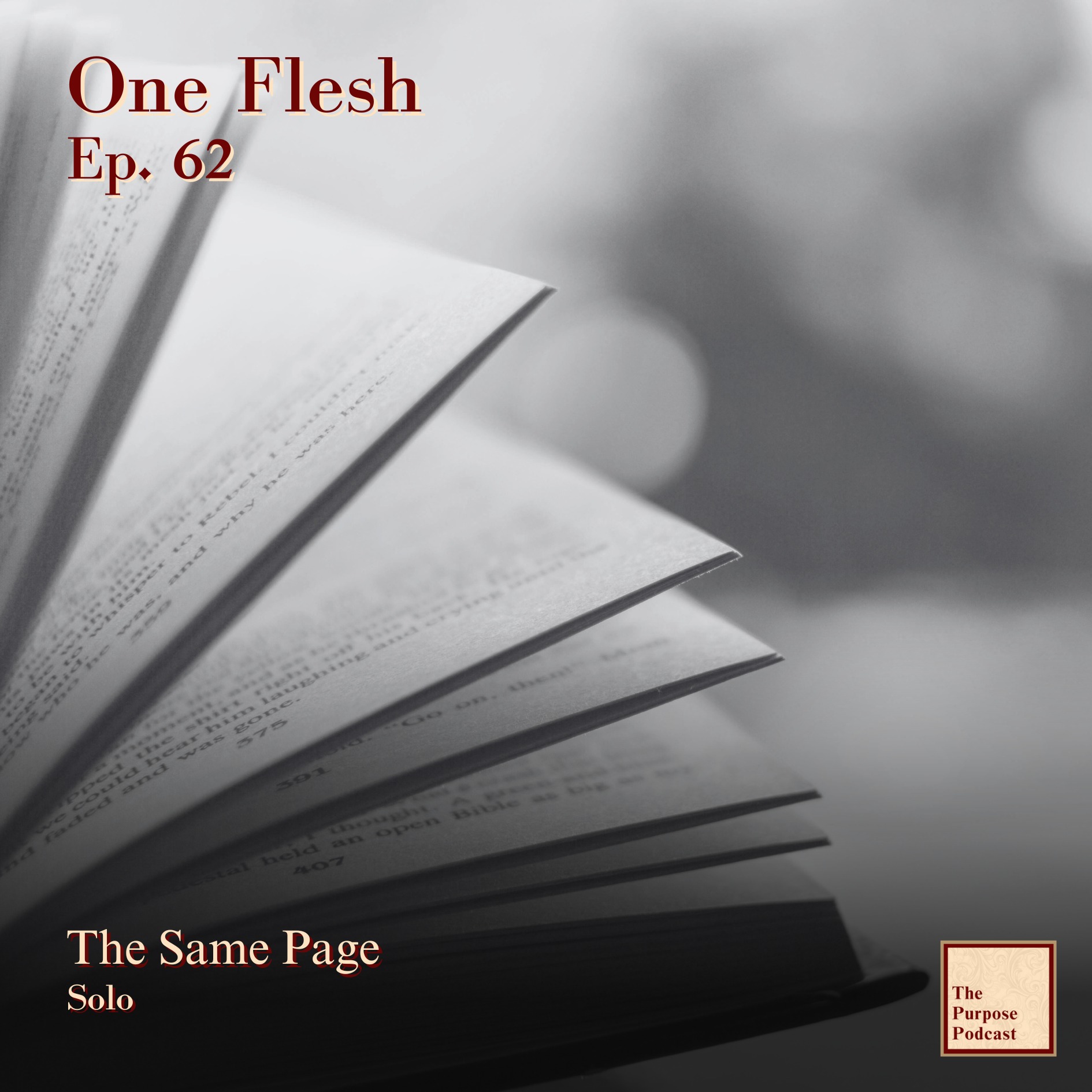 One Flesh Ep. 62 - The Same Page | Solo episode artwork
