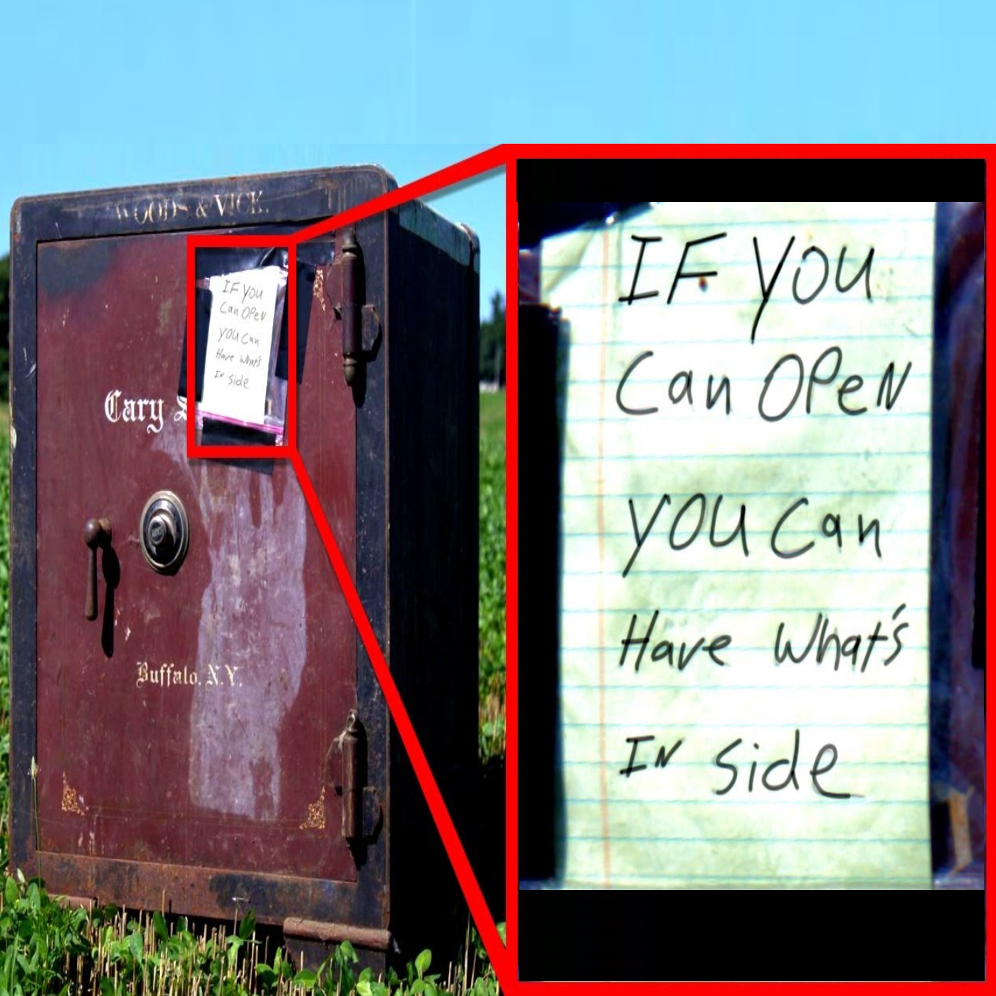 Bizarre Discoveries Found in Unexpected Places