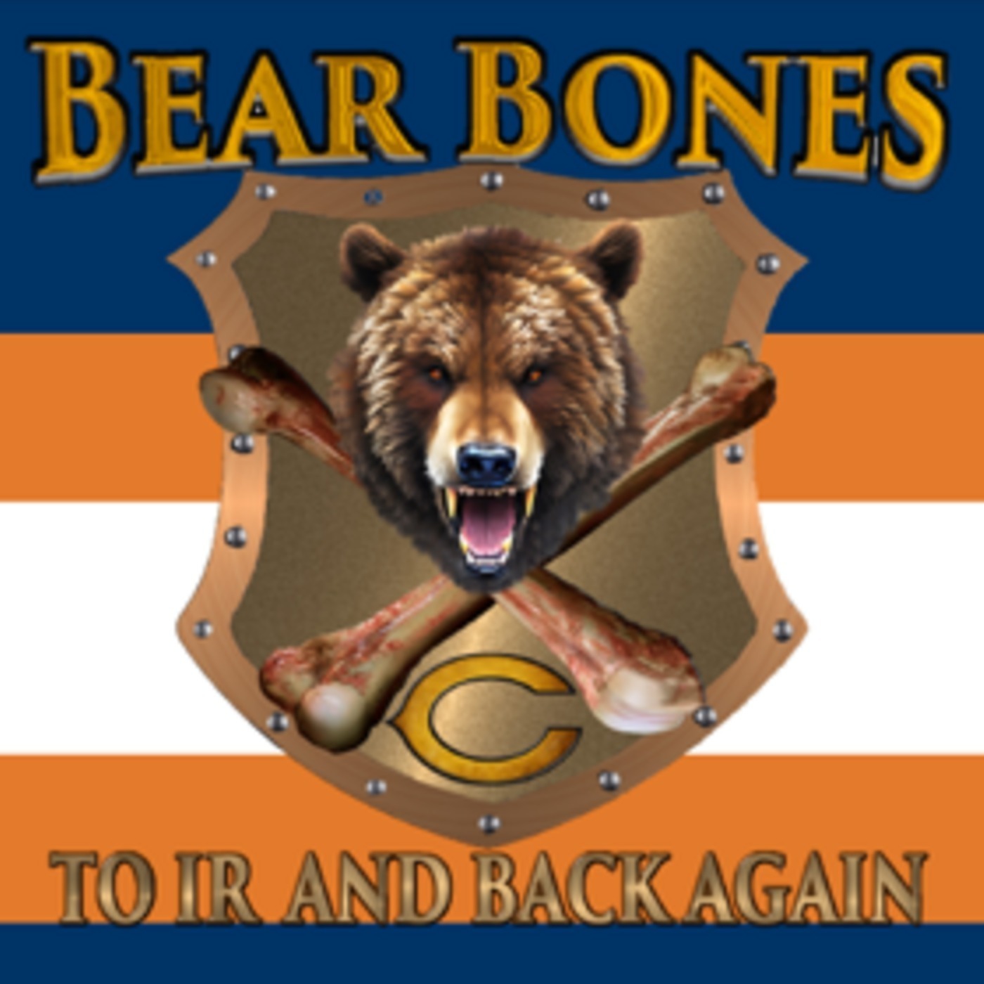 Bear Bones: HARD KNOCKS REACTION, 2024 Confidence/Concern By Position, & NFC North Position Rankings