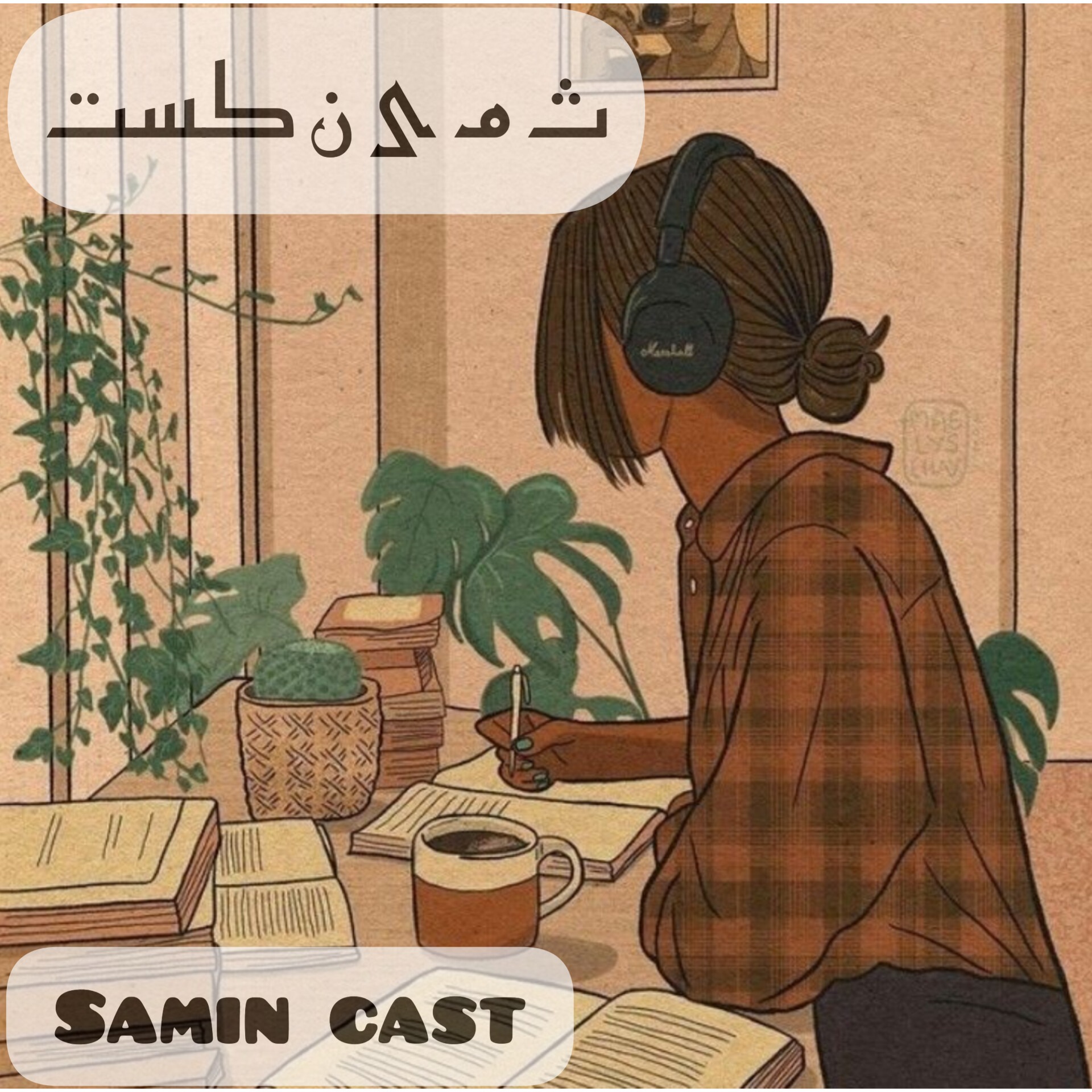 Audio Player Image
