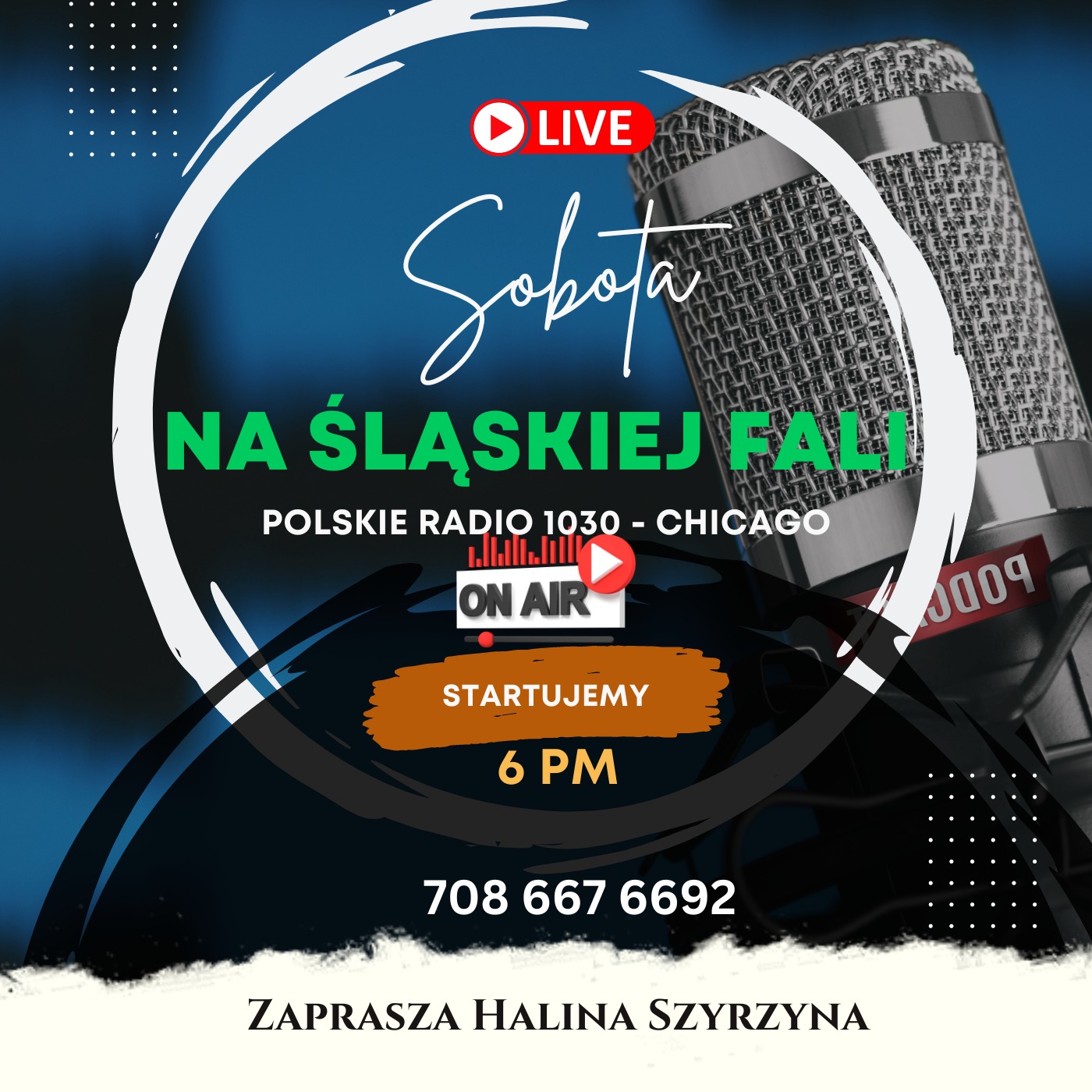 Zapraszamy na Majówkę "Na Śląskiej Fali" w Chicago w Polskim Radiu 1030! episode artwork