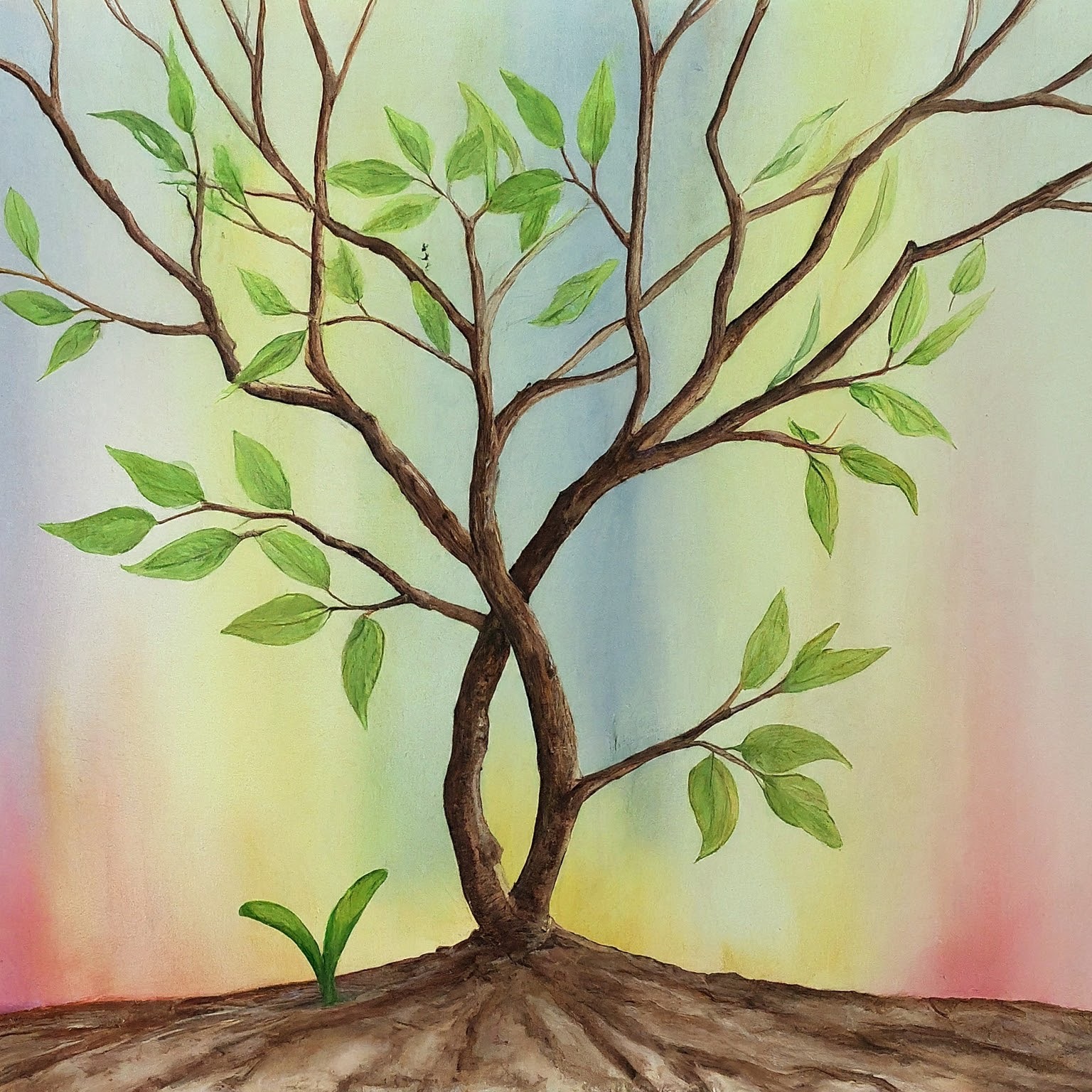 Relationship Renewal Affirmations Cold War Between Partners🌱 episode artwork
