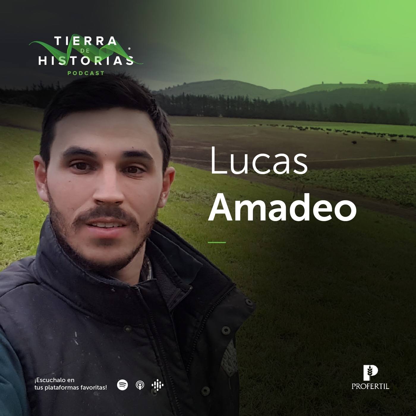 Tierra de Historias