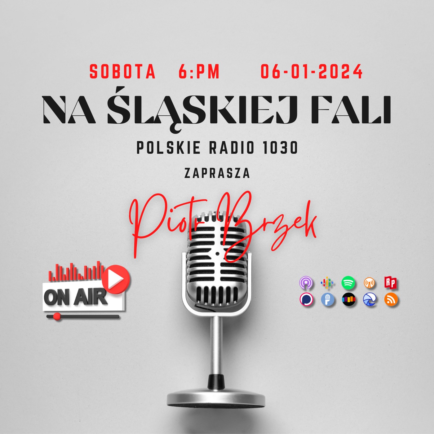 Radio Na Śląskiej Fali Chicago
