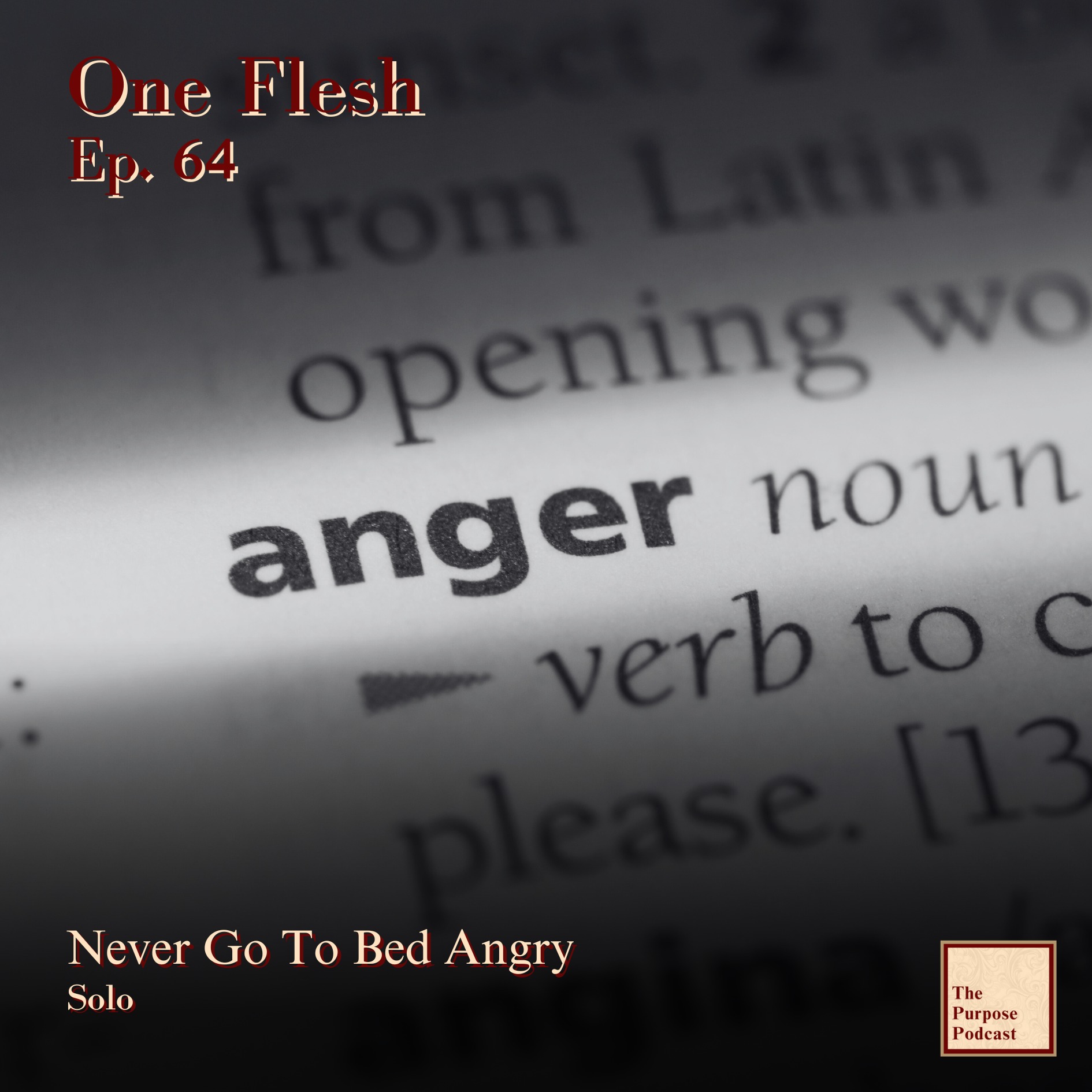 One Flesh Ep. 64 - Never Go To Bed Angry | Solo episode artwork