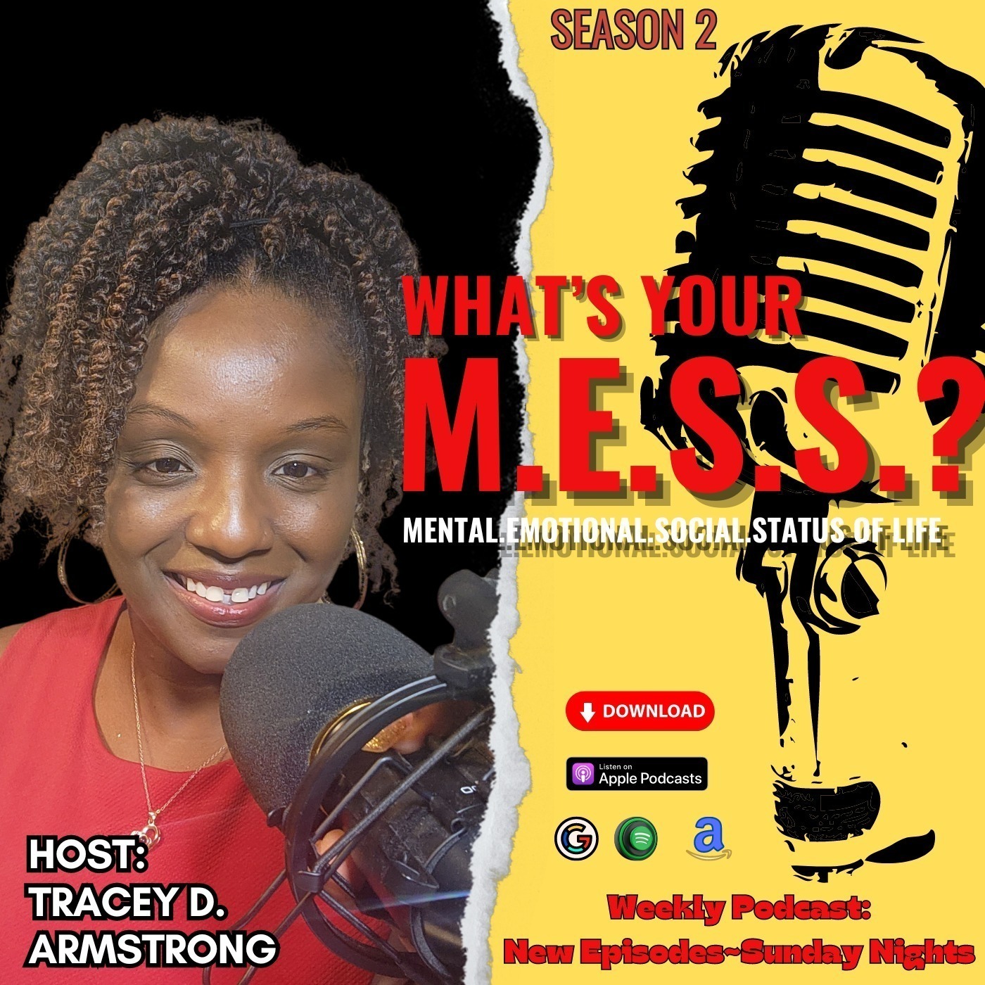 What\'s Your M.E.S.S.? Mental.Emotional.Social.Status of Life