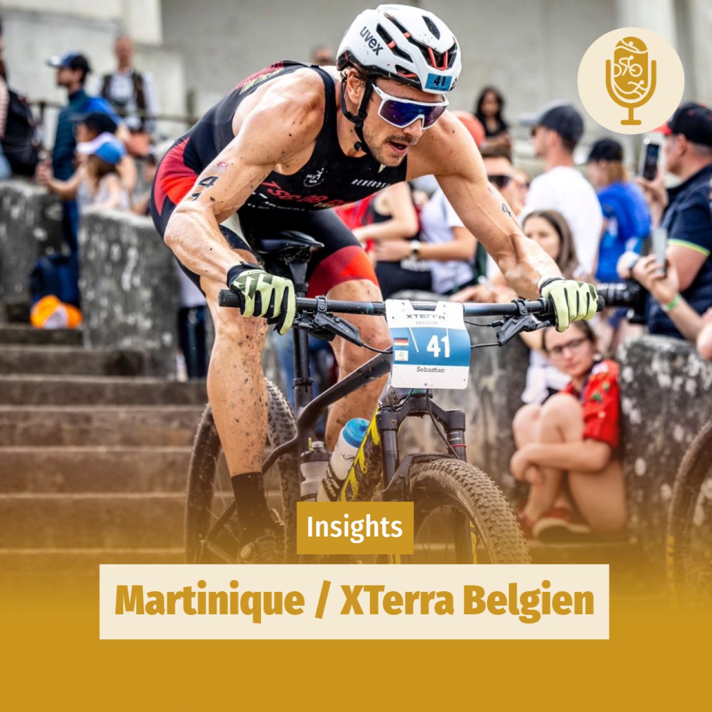 Insights #3-Martinique, Belgien und der Ironman Kopenhagen episode artwork