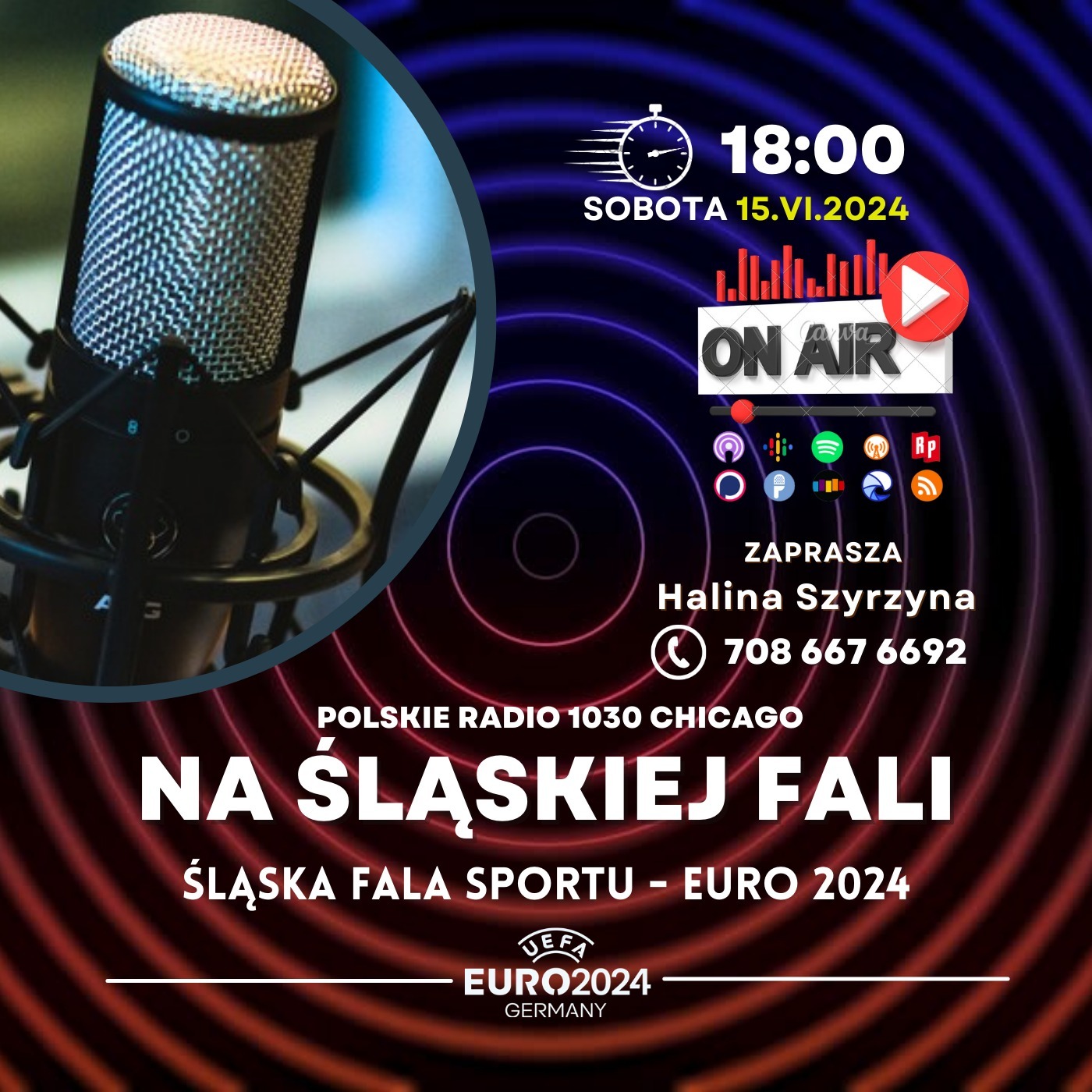 NSF Śląska Fala Sportu Euro 2024 episode artwork