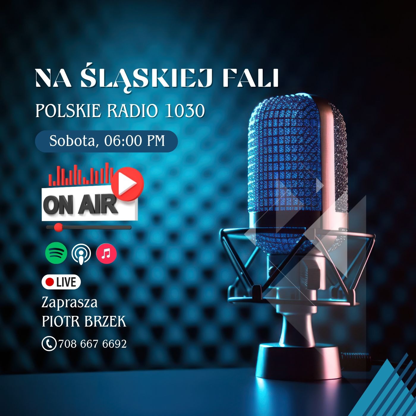 Radio Na Śląskiej Fali Chicago