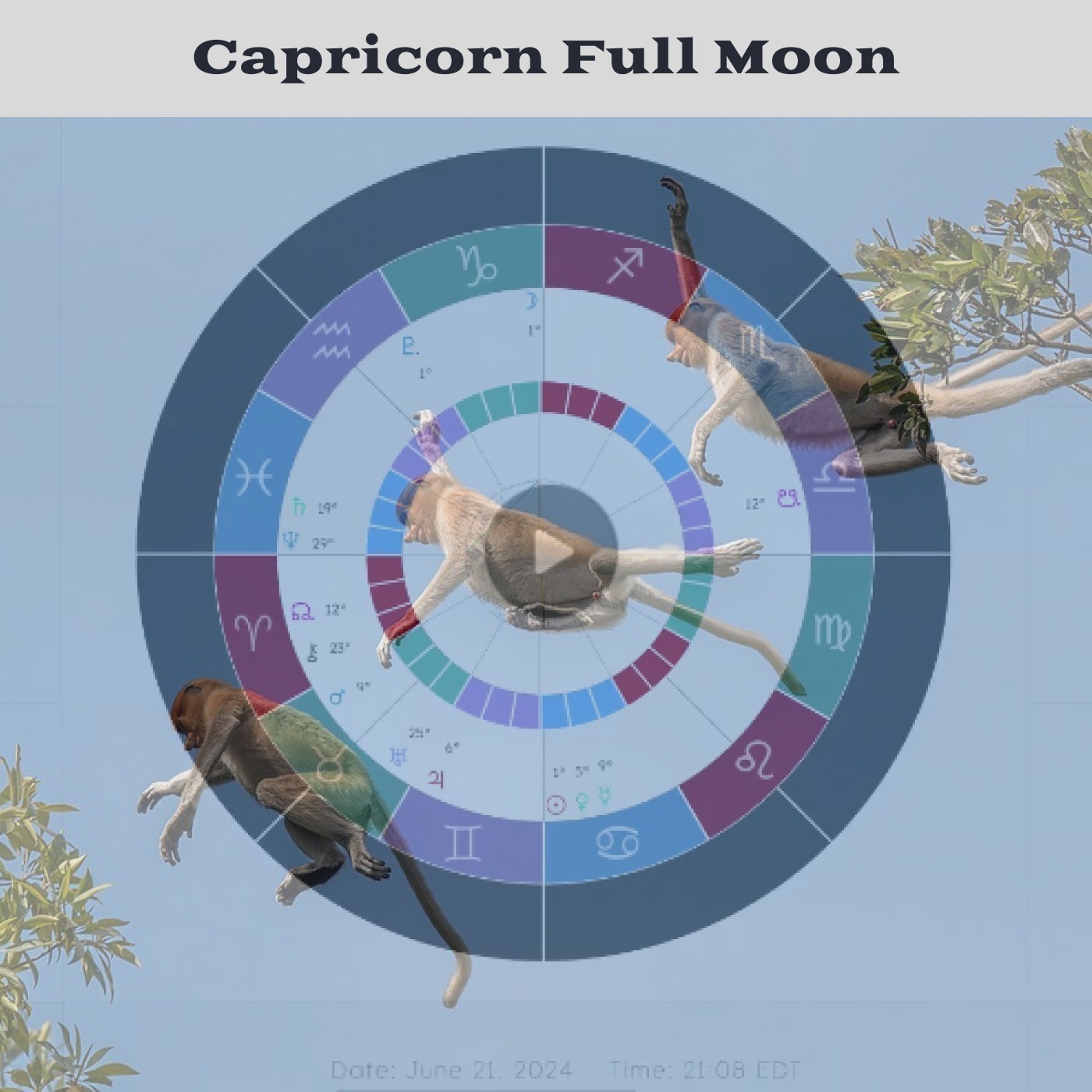Astrology Journal
