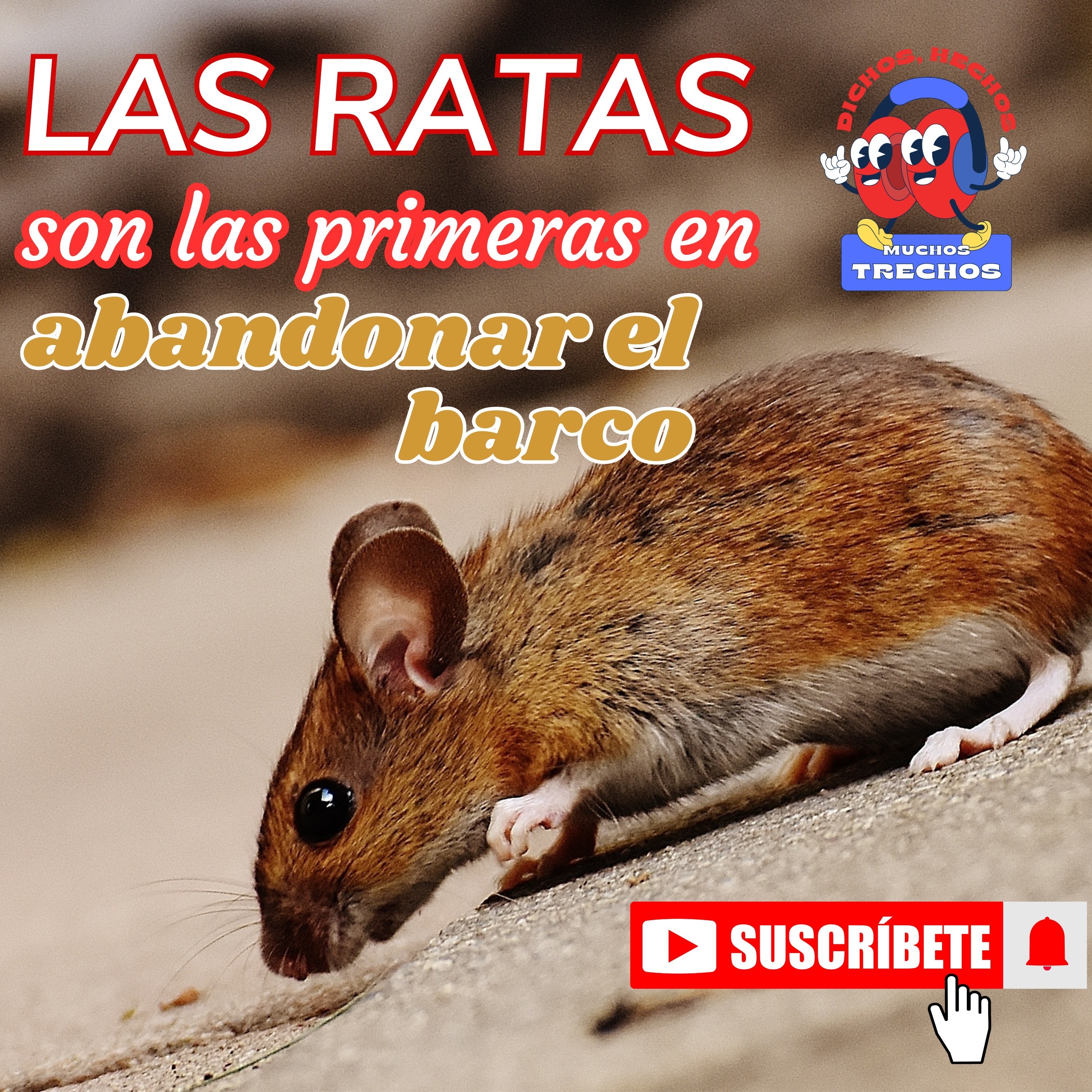 Dichos, Hechos y Muchos Trechos