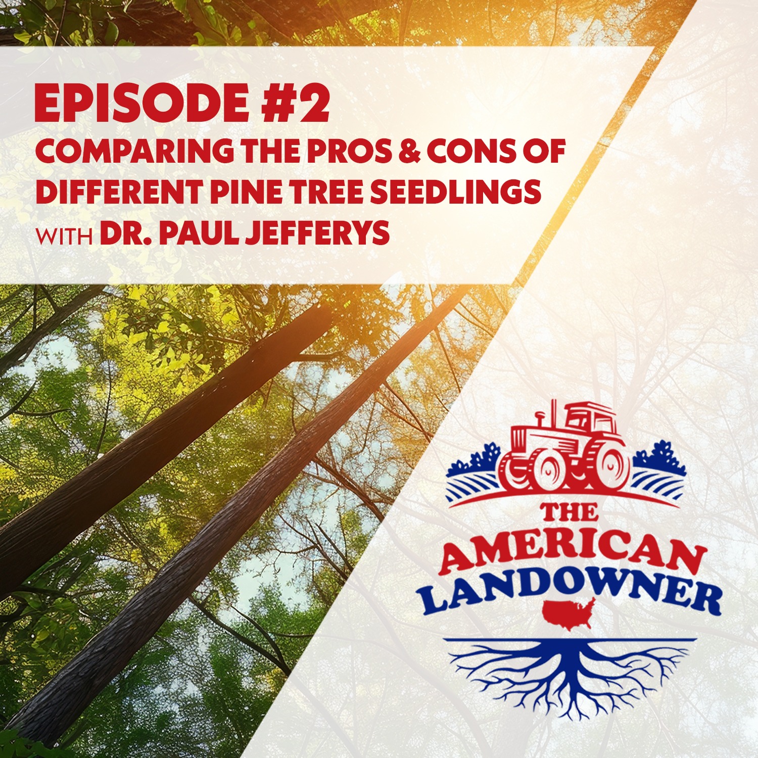 The American Landowner