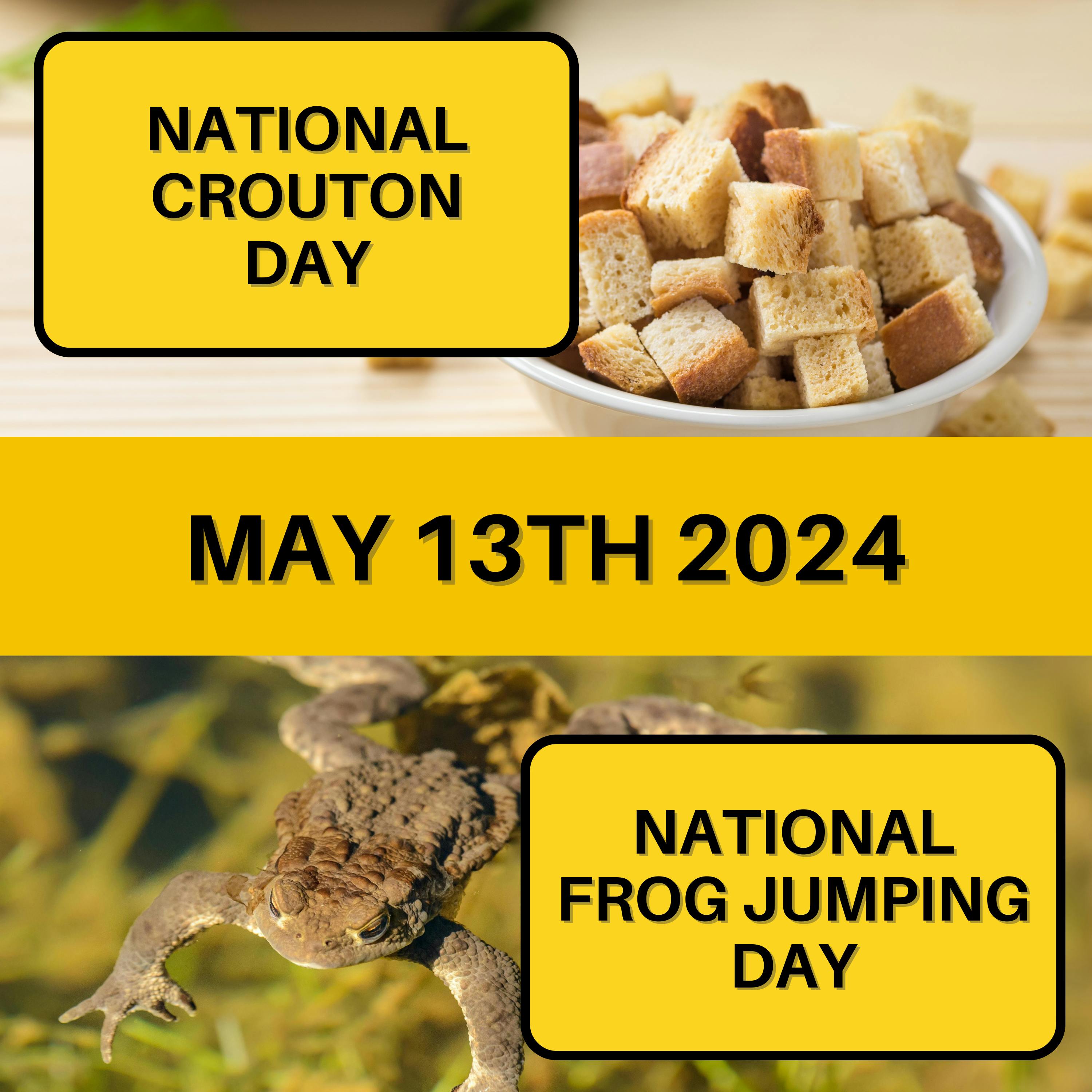 May 13, 2024 | Toasted Tidbits and Amphibian Antics: Join the Celebration